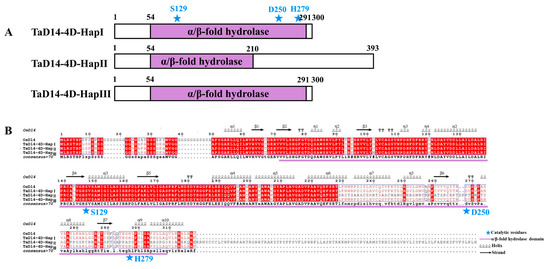 Association of TaD14-4D, a Gene Involved in Strigolactone