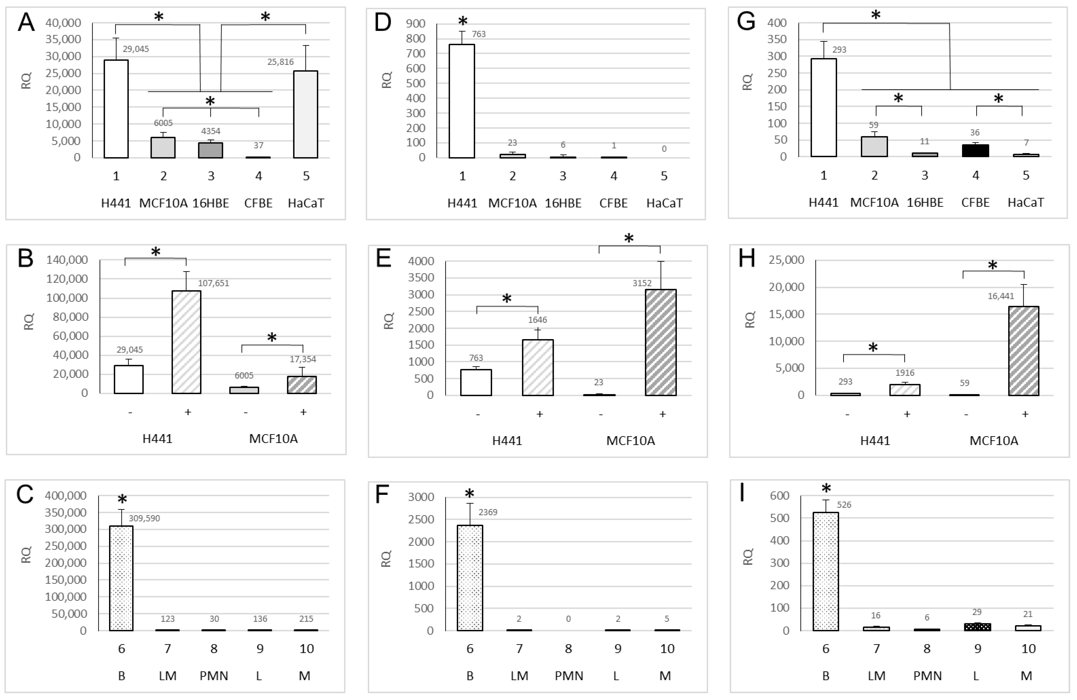 Ijms Free Full Text Dna Methylation Patterns Correlate With The Expression Of Scnn1a Scnn1b And Scnn1g Epithelial Sodium Channel Enac Genes Html Ijms Free Full Text Dna Methylation Patterns Correlate With The Expression Of Scnn1a Scnn1b And Scnn1g Epithelial Sodium Channel Enac Genes Html