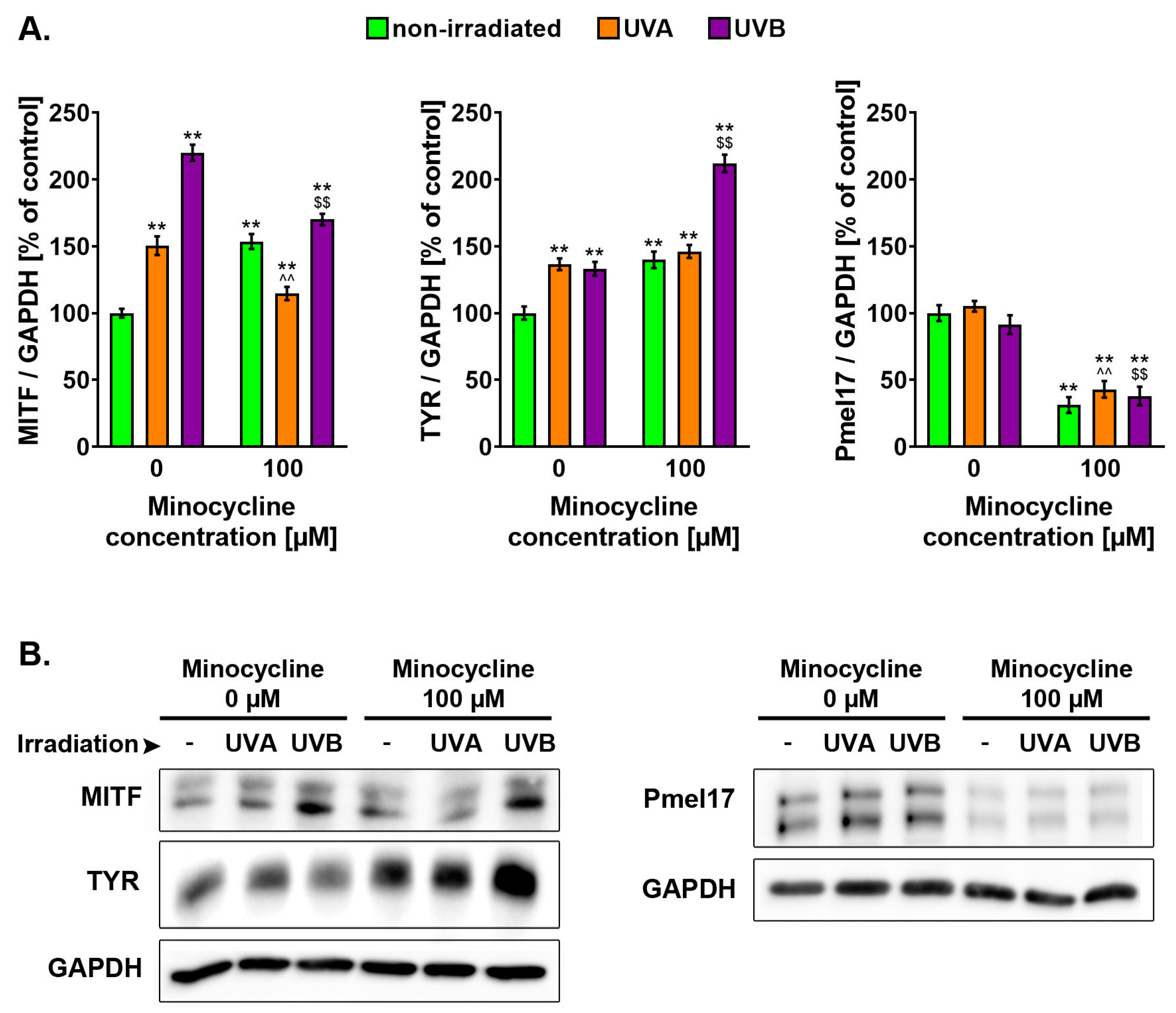 Ijms 22 03755 g007 Ijms 22 03755 g007
