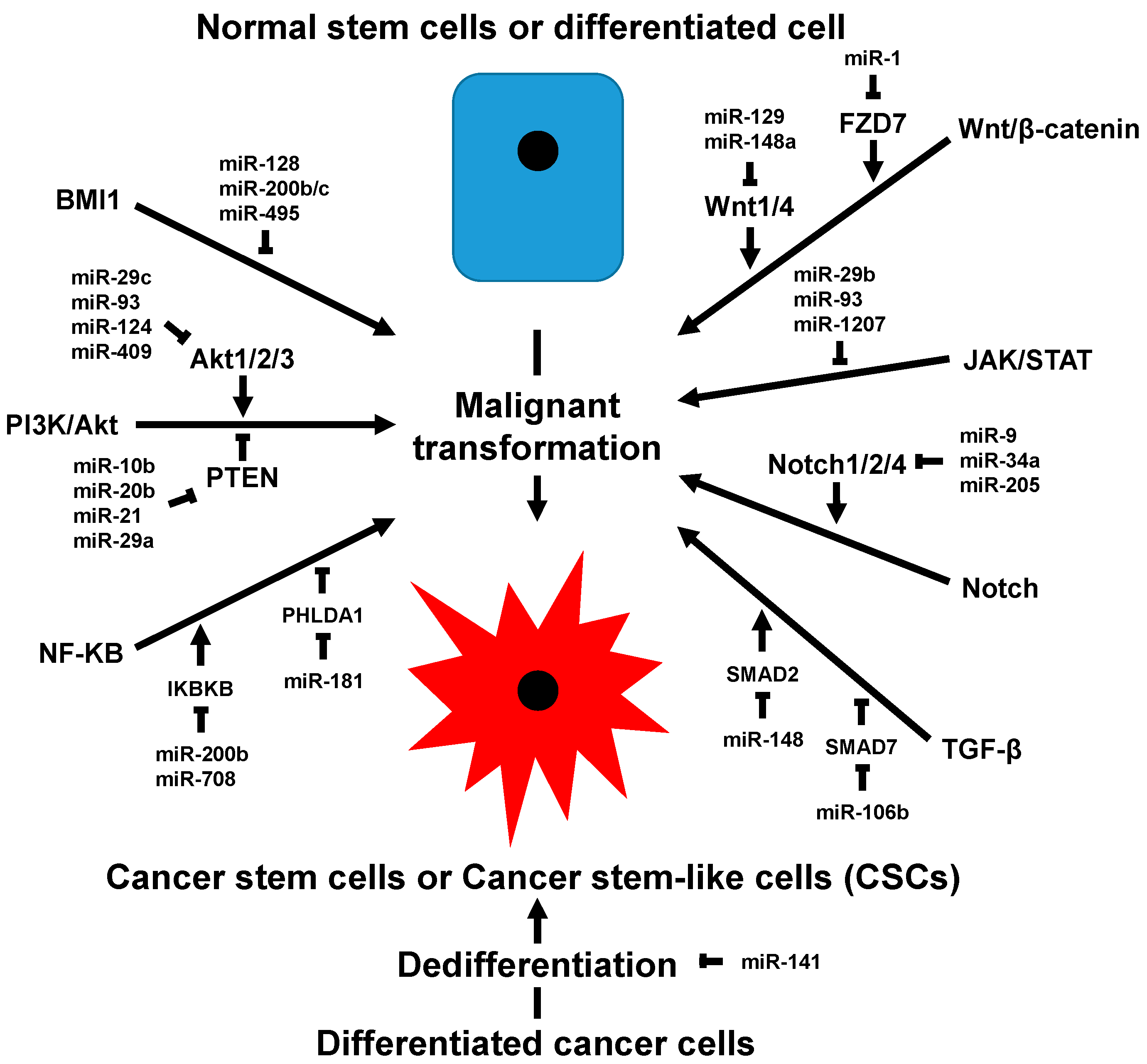 Ijms 22 03756 g001 Ijms 22 03756 g001