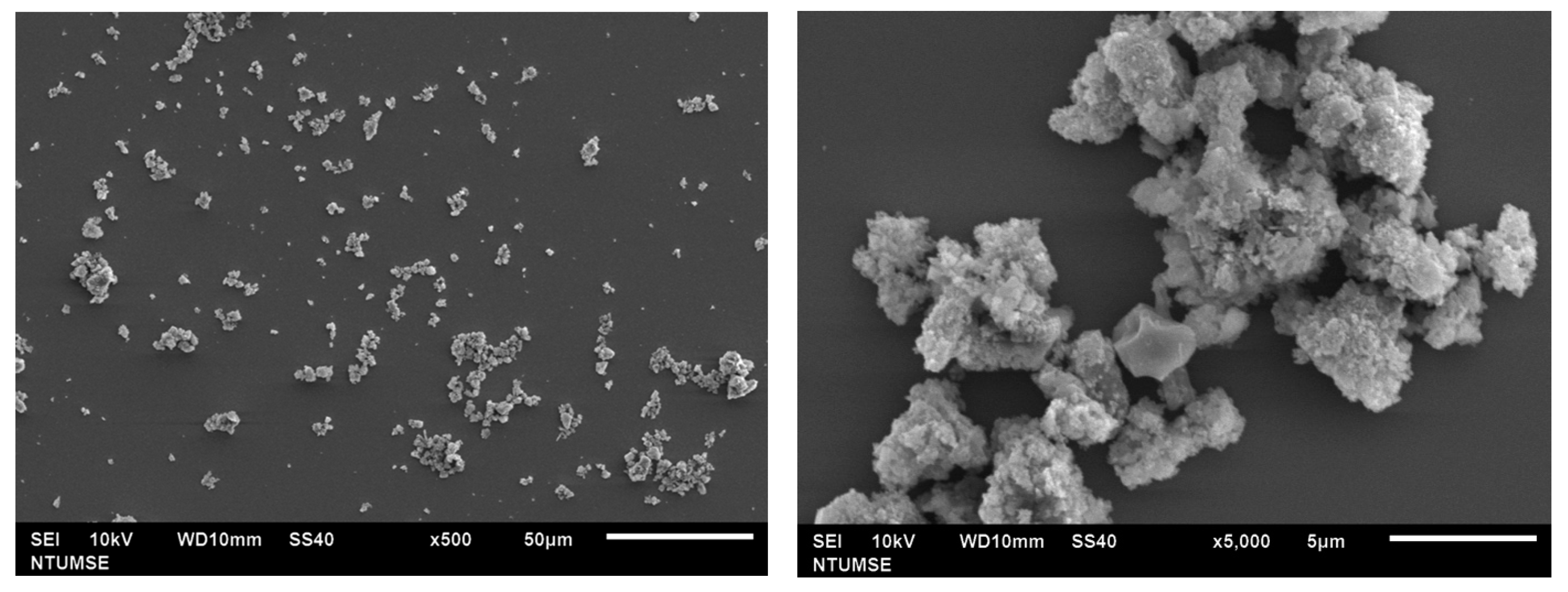 Ijms 22 03759 g003 Ijms 22 03759 g003