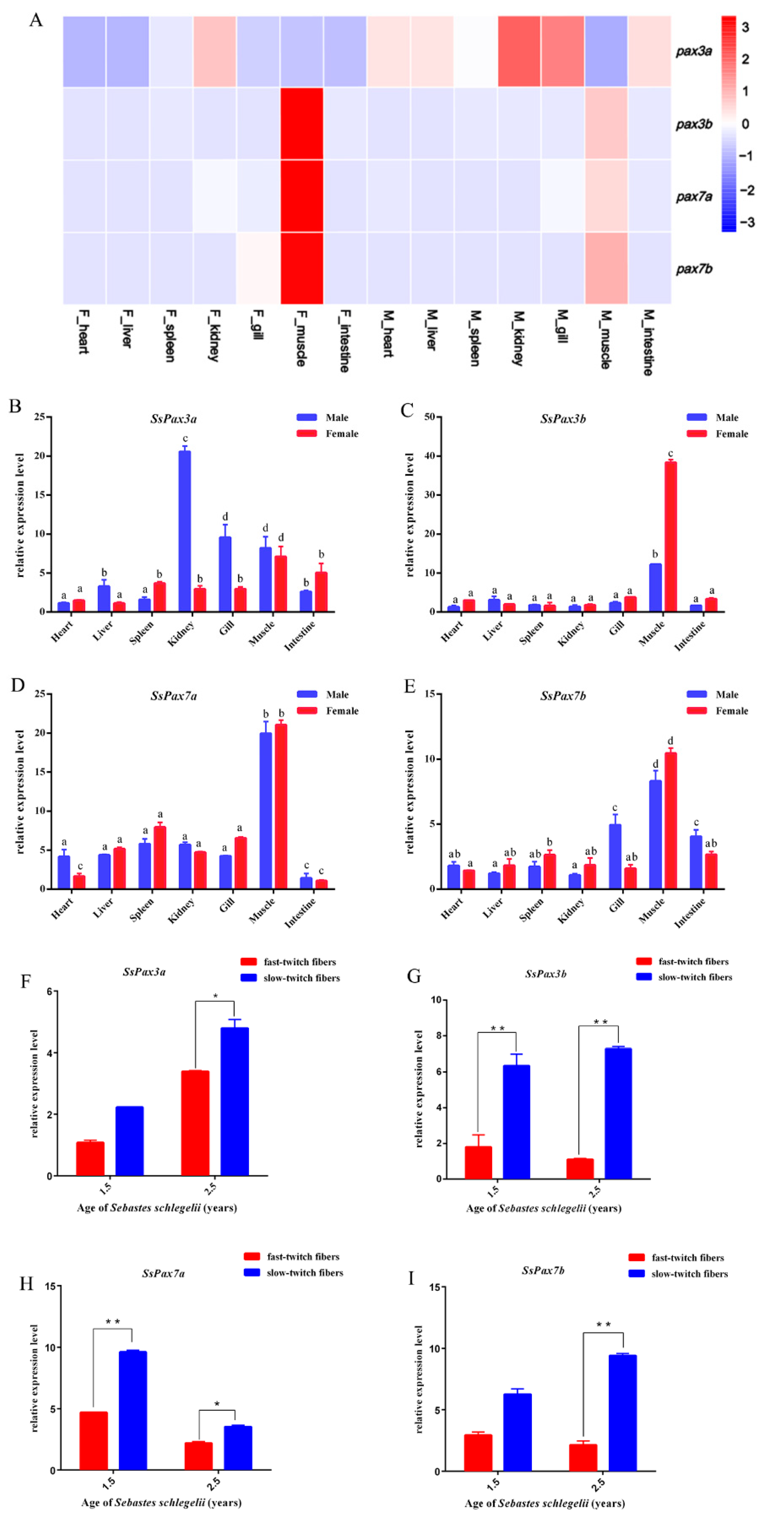 Ijms 22 03769 g003 Ijms 22 03769 g003