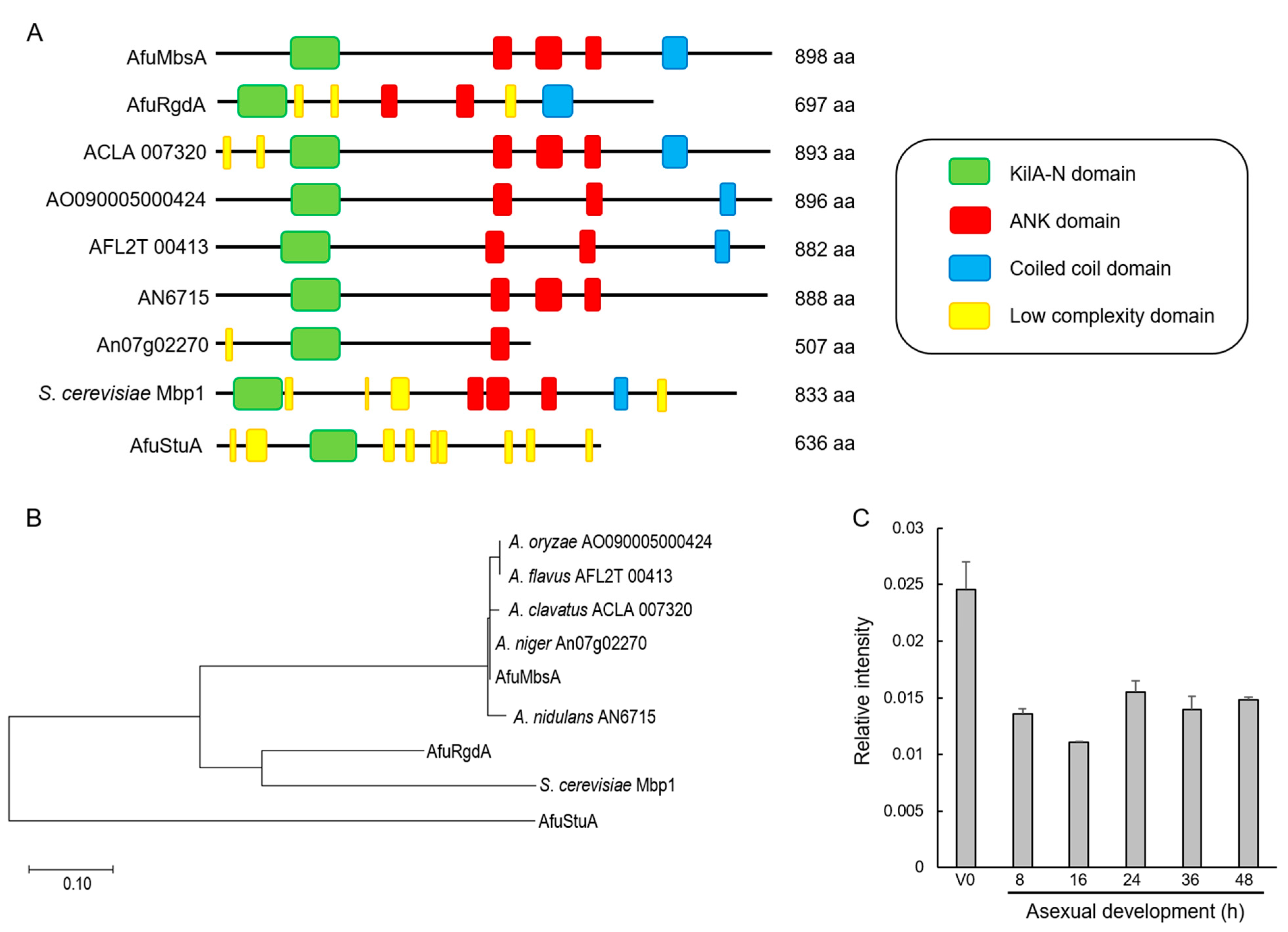 Ijms 22 03777 g001 Ijms 22 03777 g001