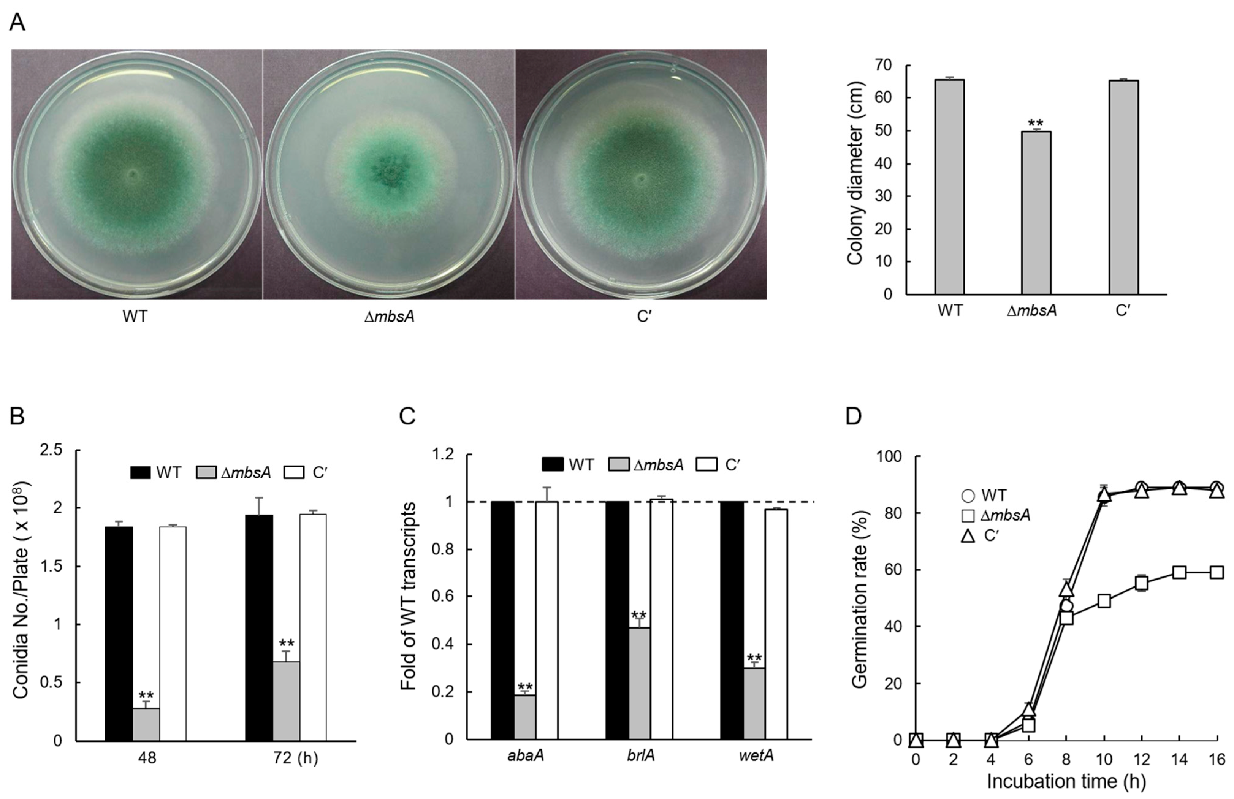 Ijms 22 03777 g002 Ijms 22 03777 g002