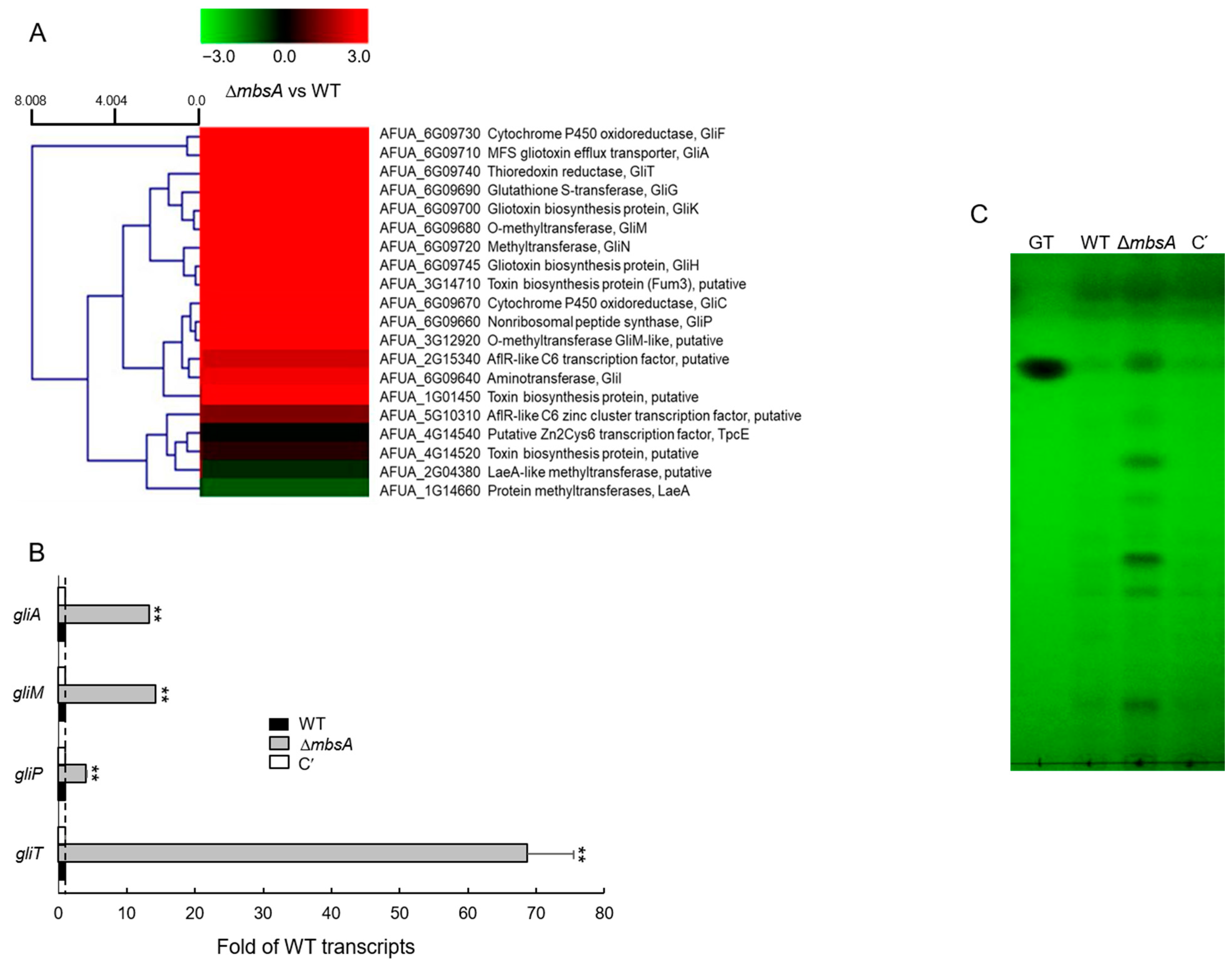 Ijms 22 03777 g007 Ijms 22 03777 g007