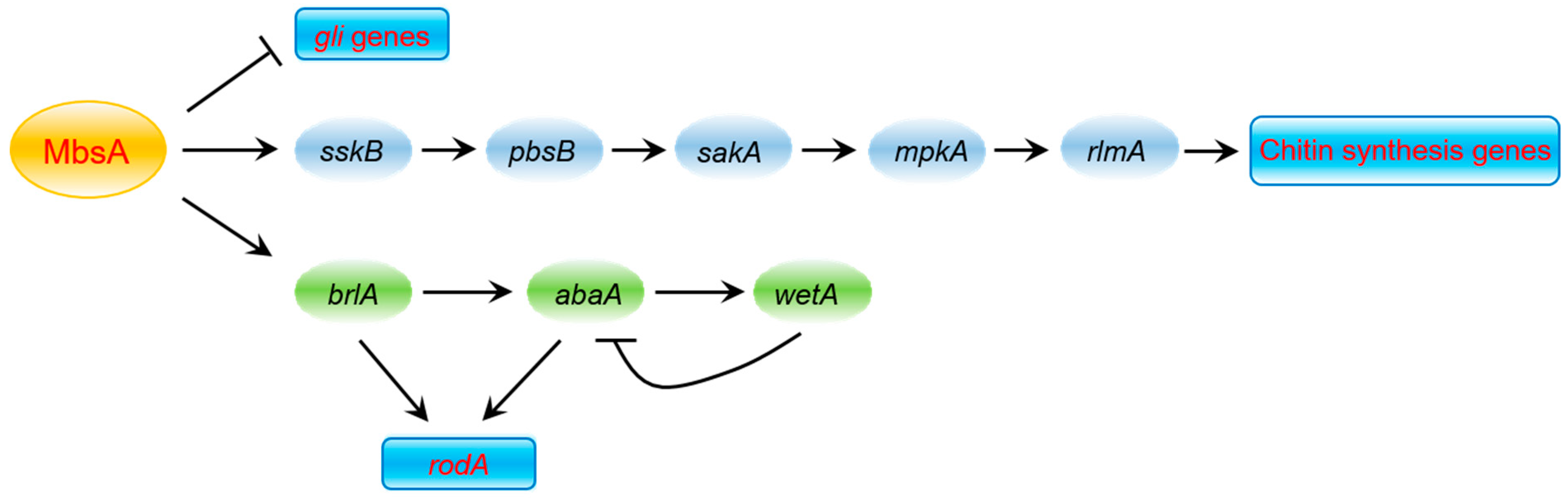 Ijms 22 03777 g009 Ijms 22 03777 g009