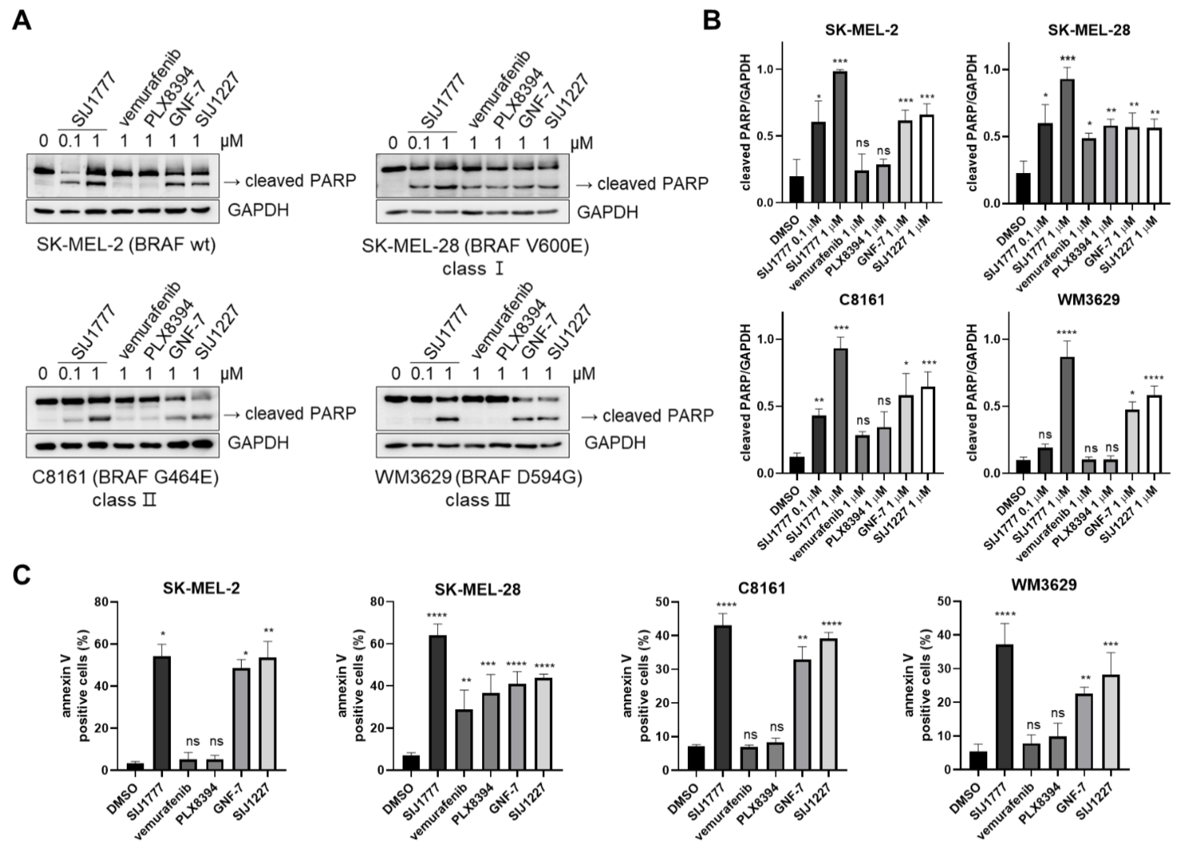 Ijms 22 03783 g004 Ijms 22 03783 g004