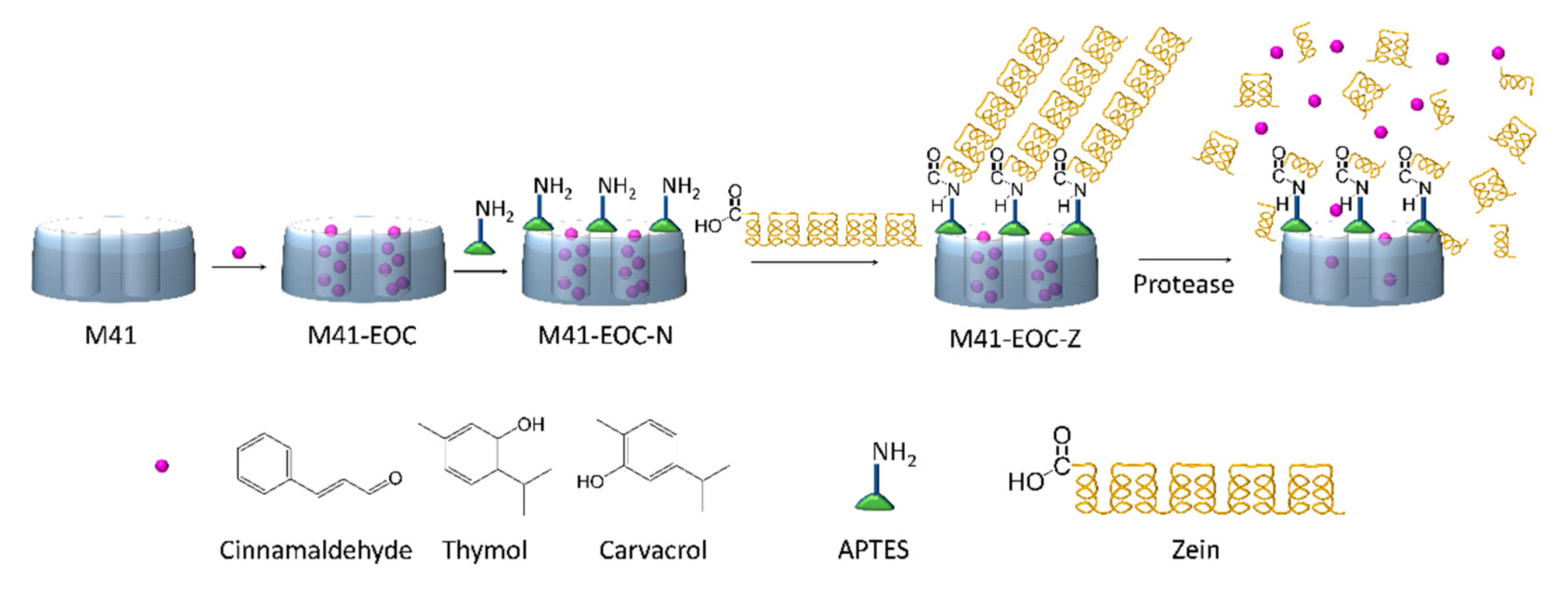 Ijms 22 03795 sch001