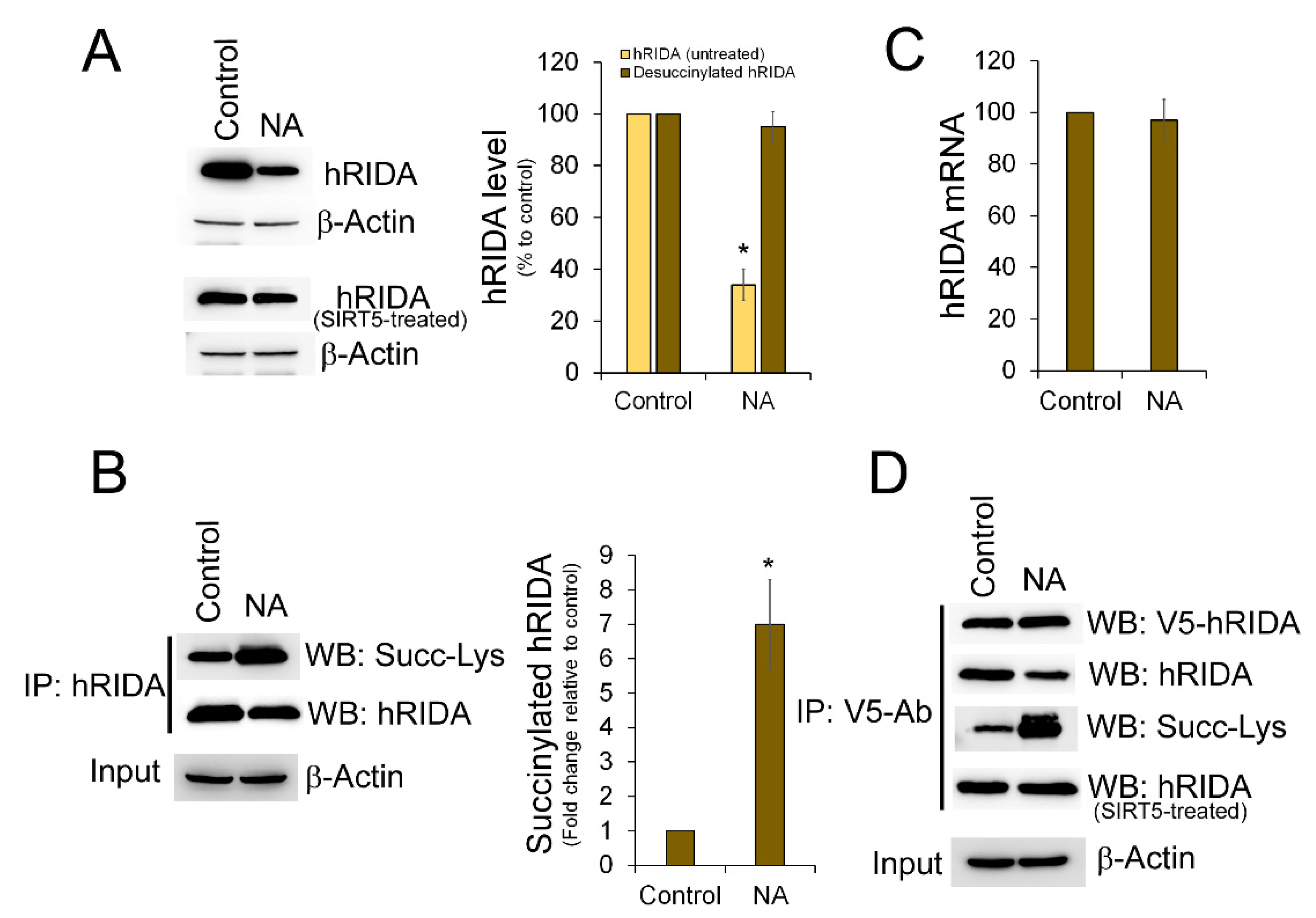 Ijms 22 03804 g003 Ijms 22 03804 g003