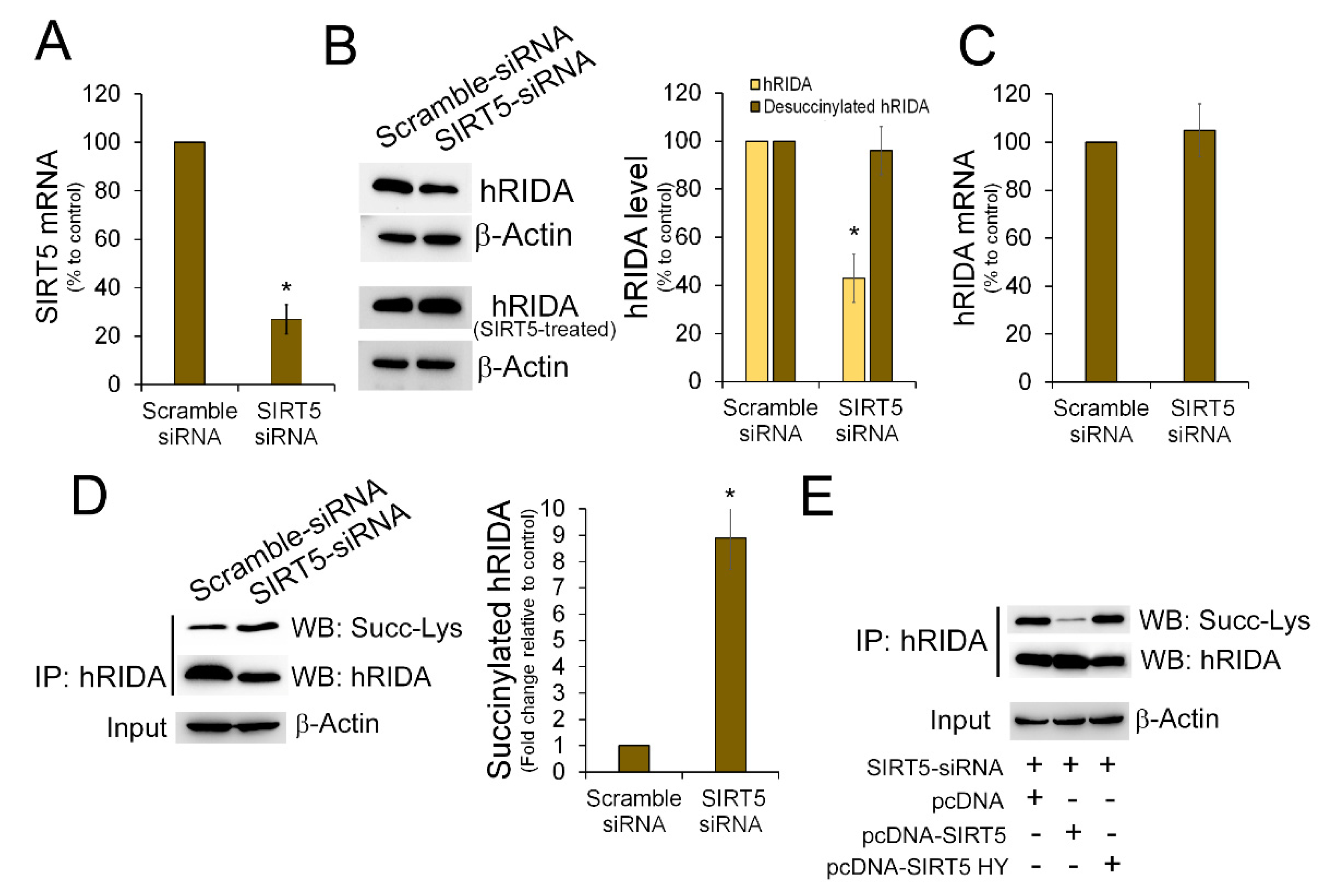 Ijms 22 03804 g004 Ijms 22 03804 g004