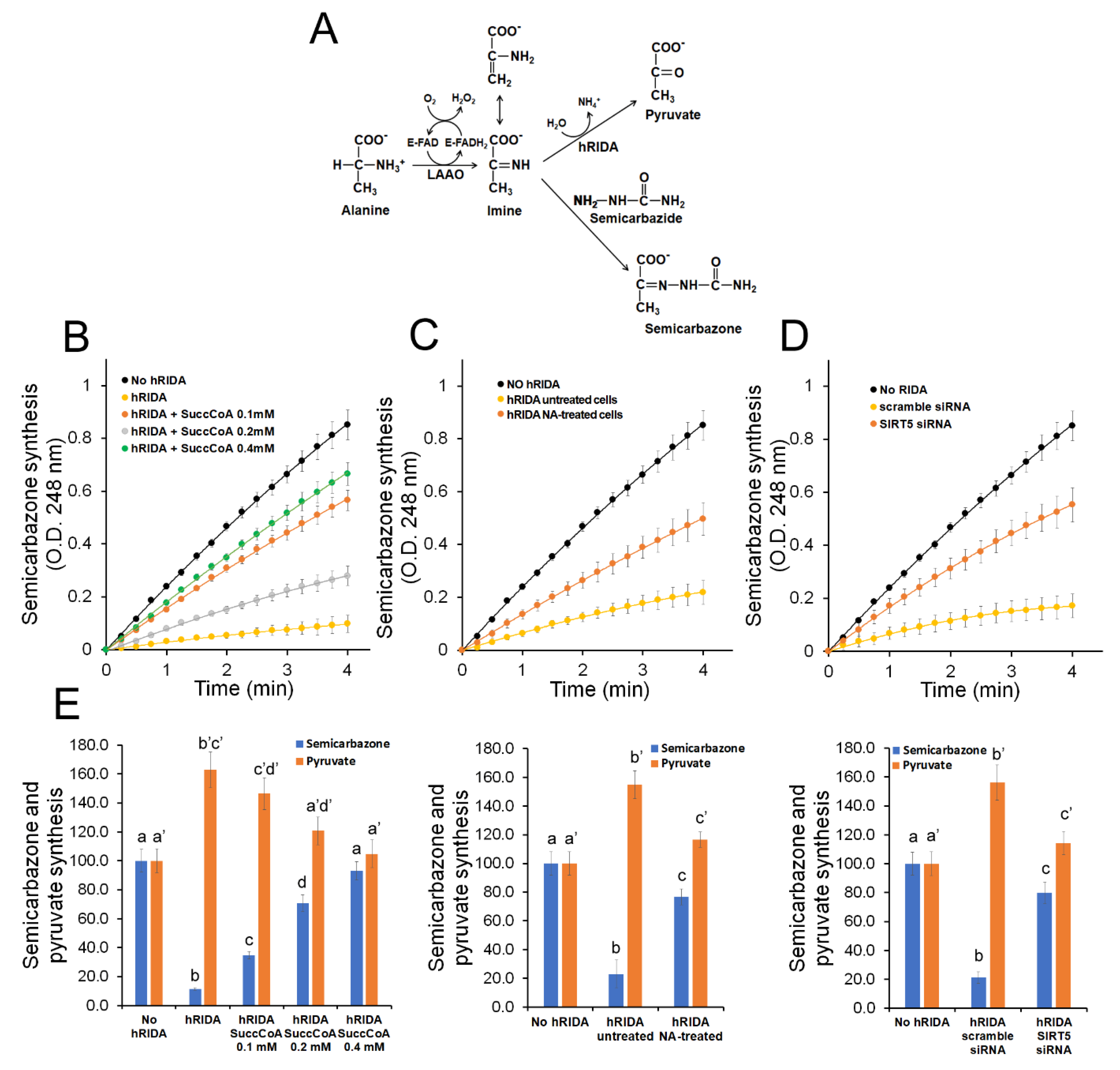 Ijms 22 03804 g005 Ijms 22 03804 g005