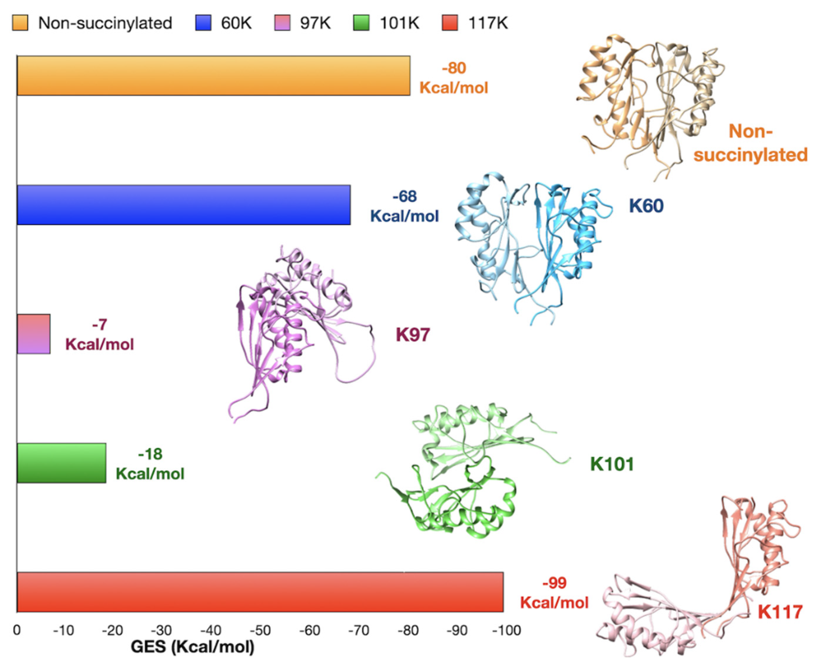Ijms 22 03804 g006 Ijms 22 03804 g006