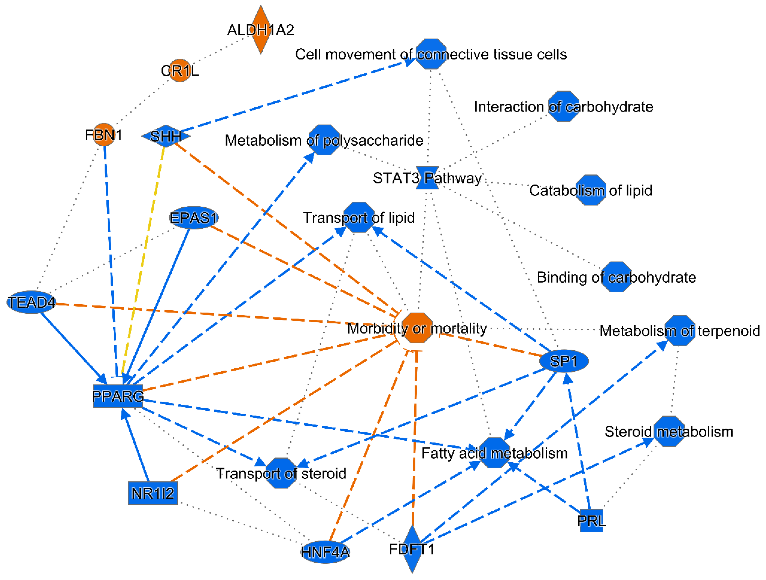 Ijms 22 03810 g007 Ijms 22 03810 g007