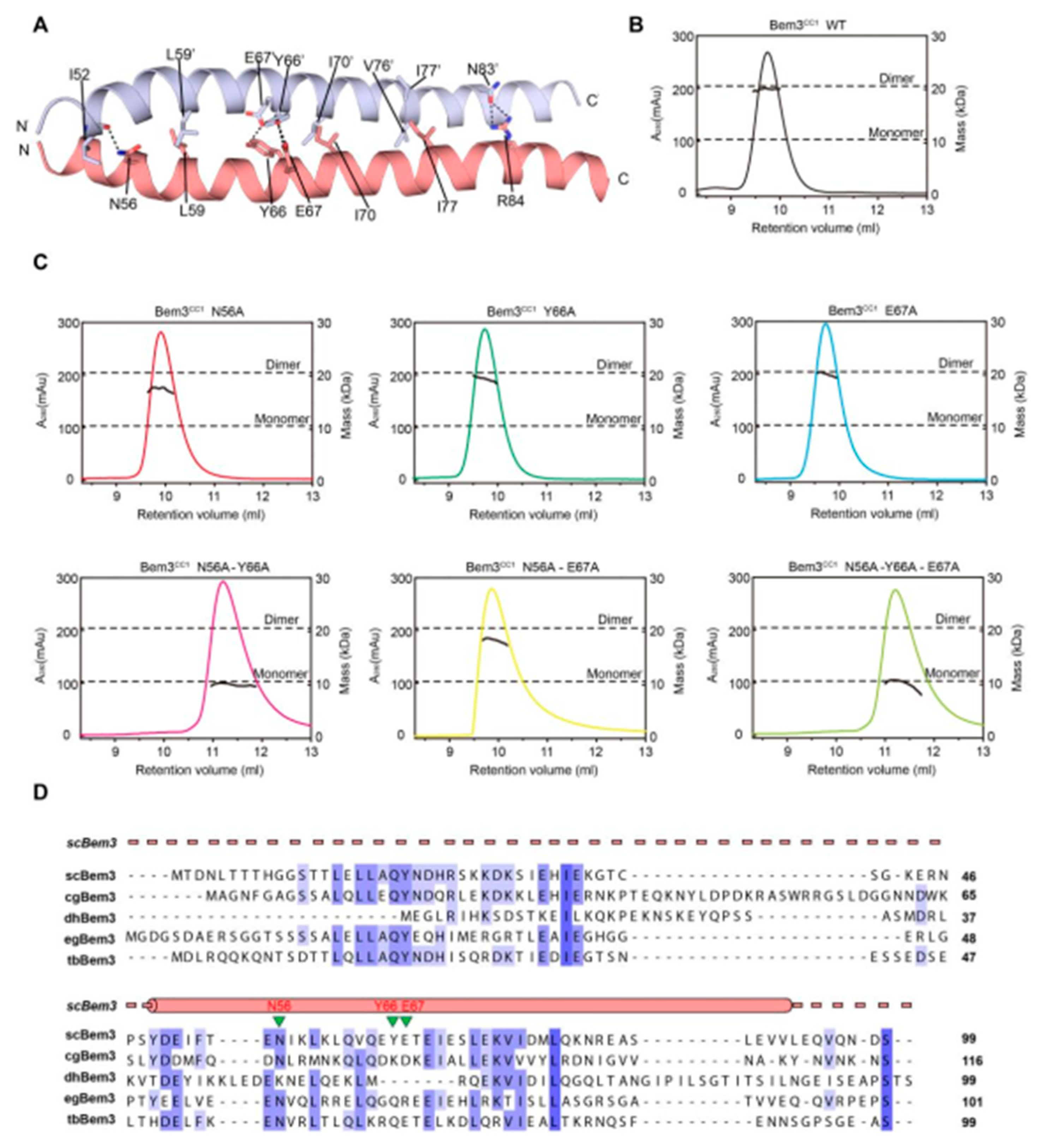 Ijms 22 03812 g003 Ijms 22 03812 g003