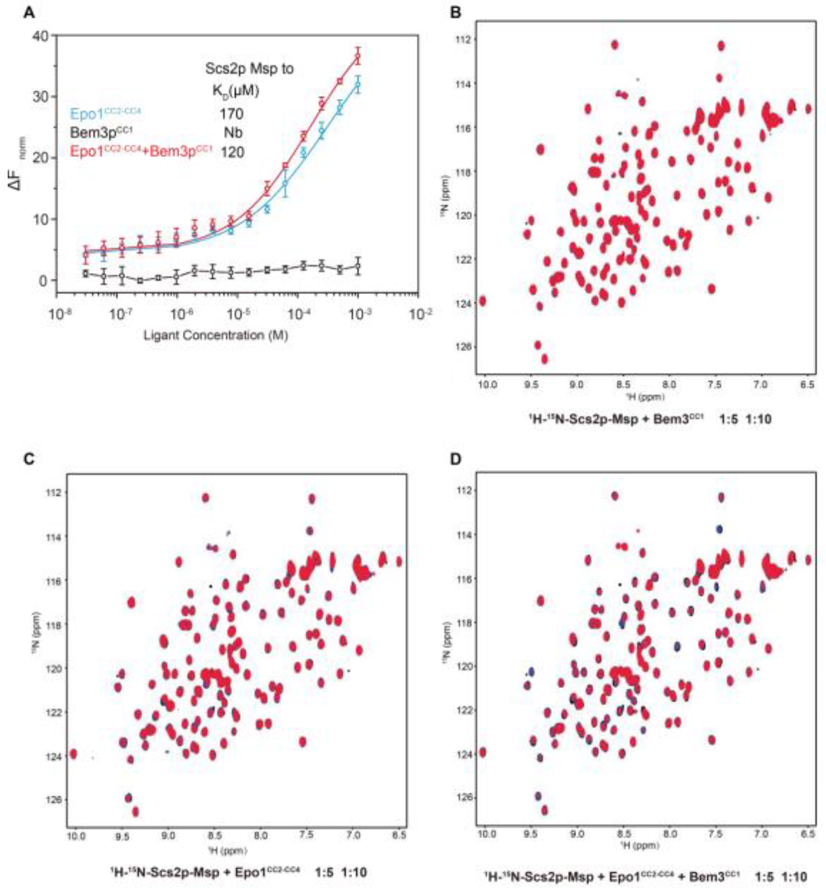 Ijms 22 03812 g005 Ijms 22 03812 g005