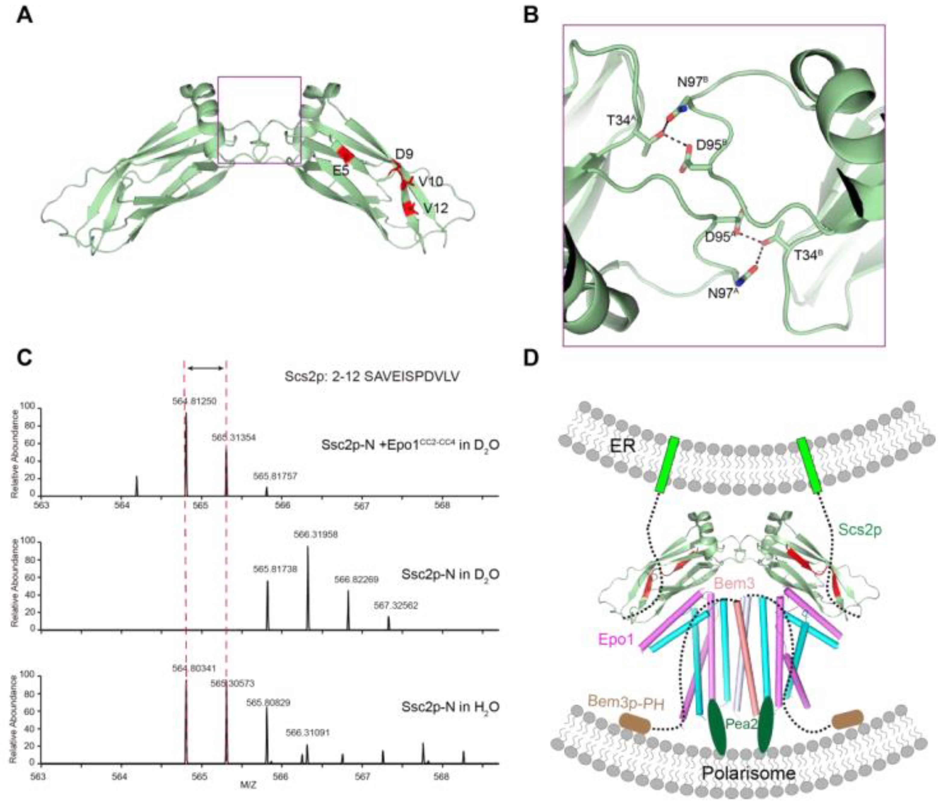Ijms 22 03812 g006 Ijms 22 03812 g006