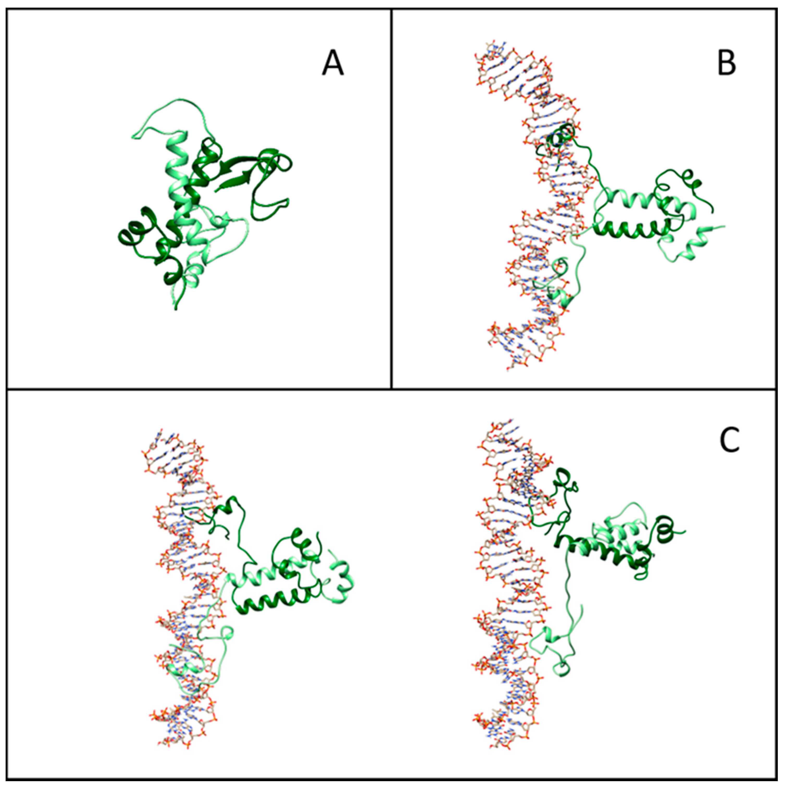 Ijms 22 03813 g005 Ijms 22 03813 g005