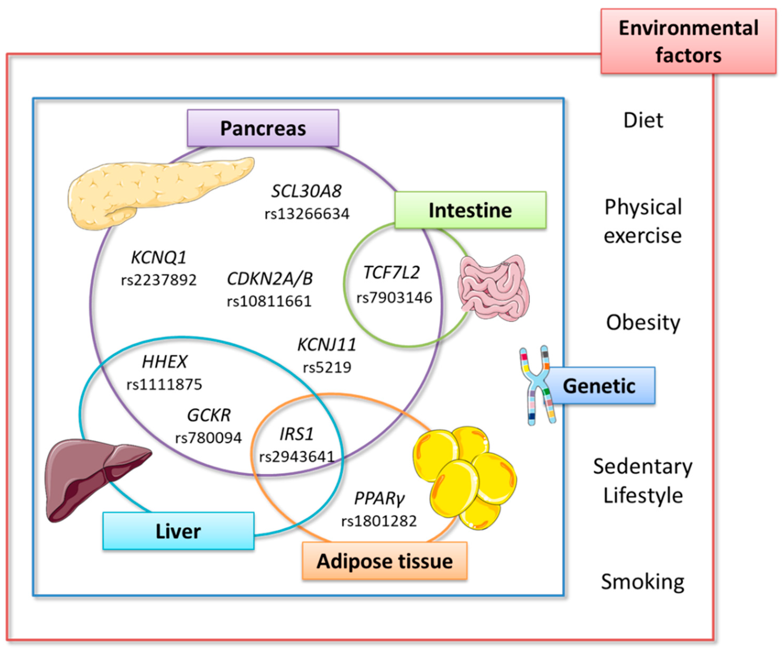 a diabetes mellitus kezelése 2 fehér bab)