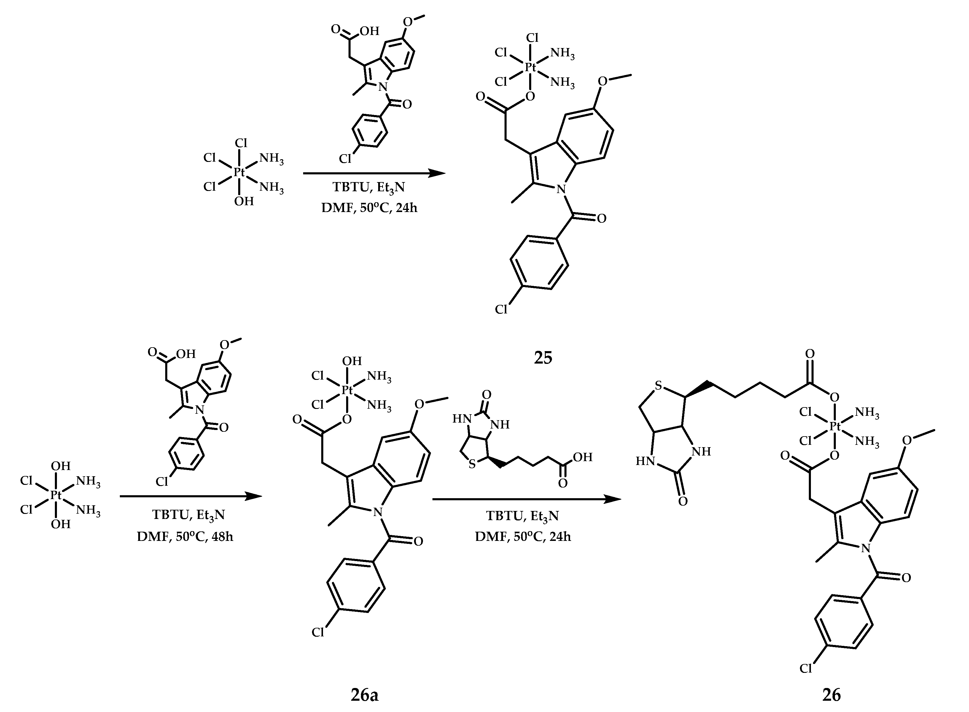 Ijms 22 03817 g012 Ijms 22 03817 g012
