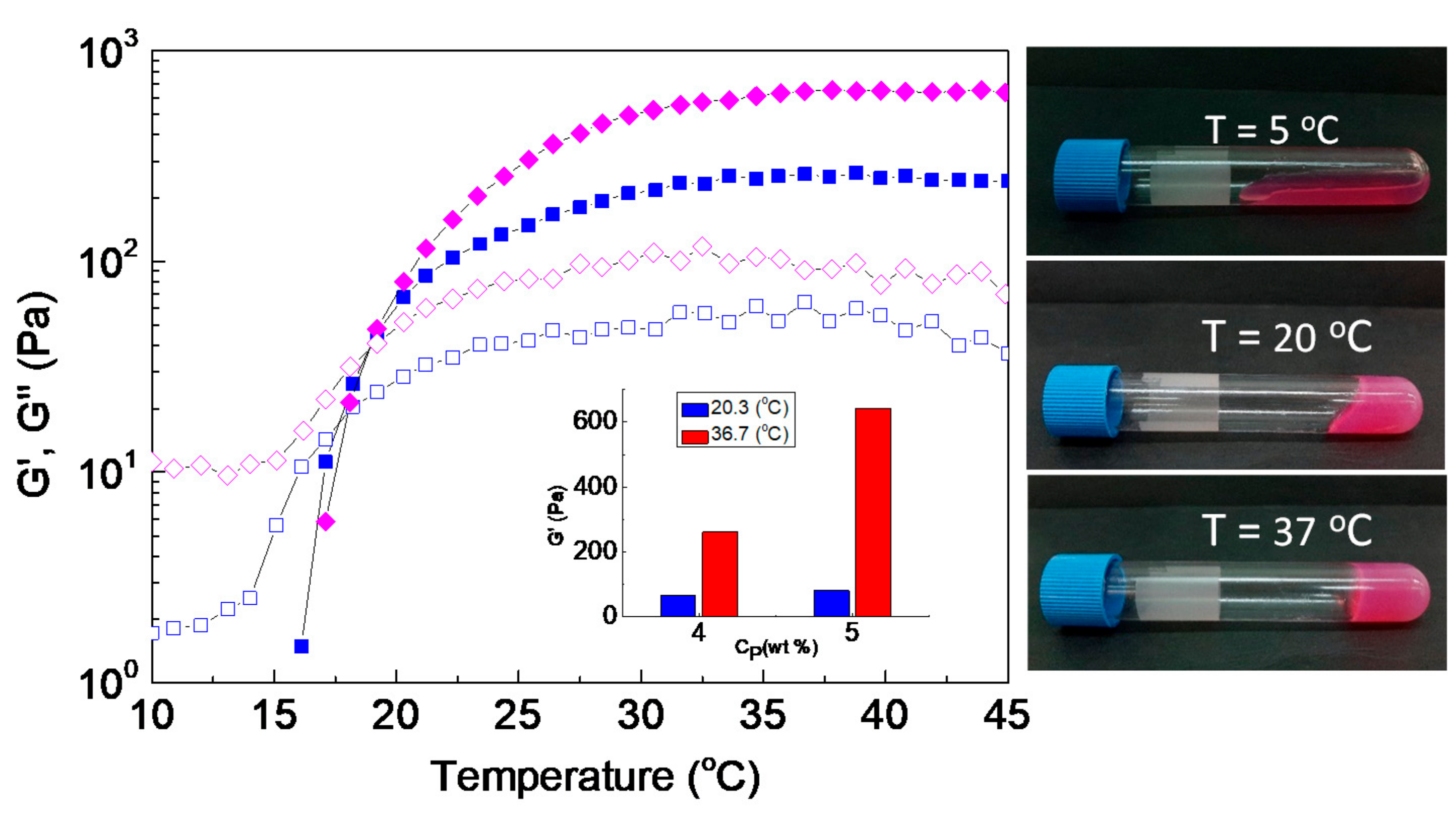 Ijms 22 03824 g009 Ijms 22 03824 g009