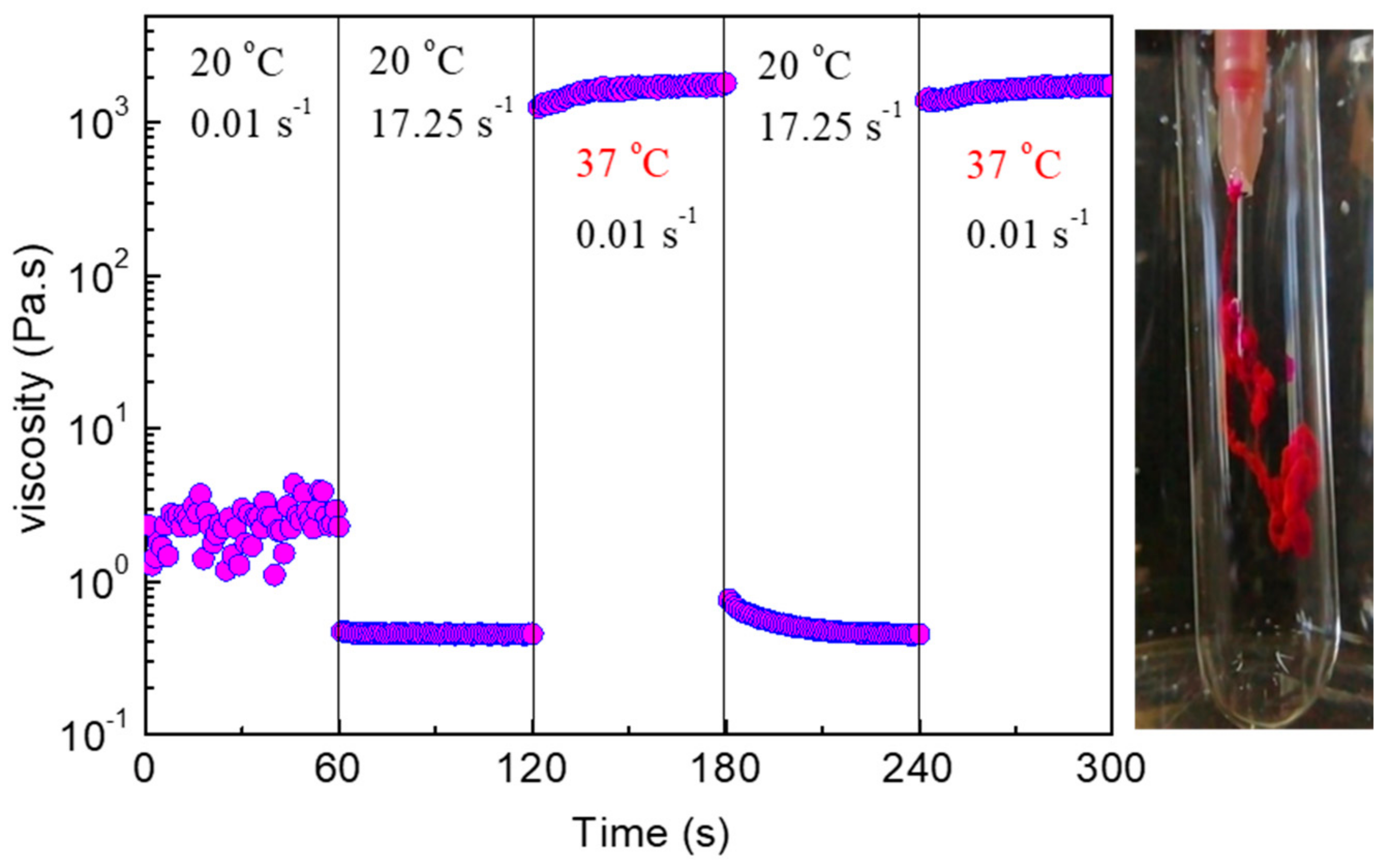 Ijms 22 03824 g010 Ijms 22 03824 g010