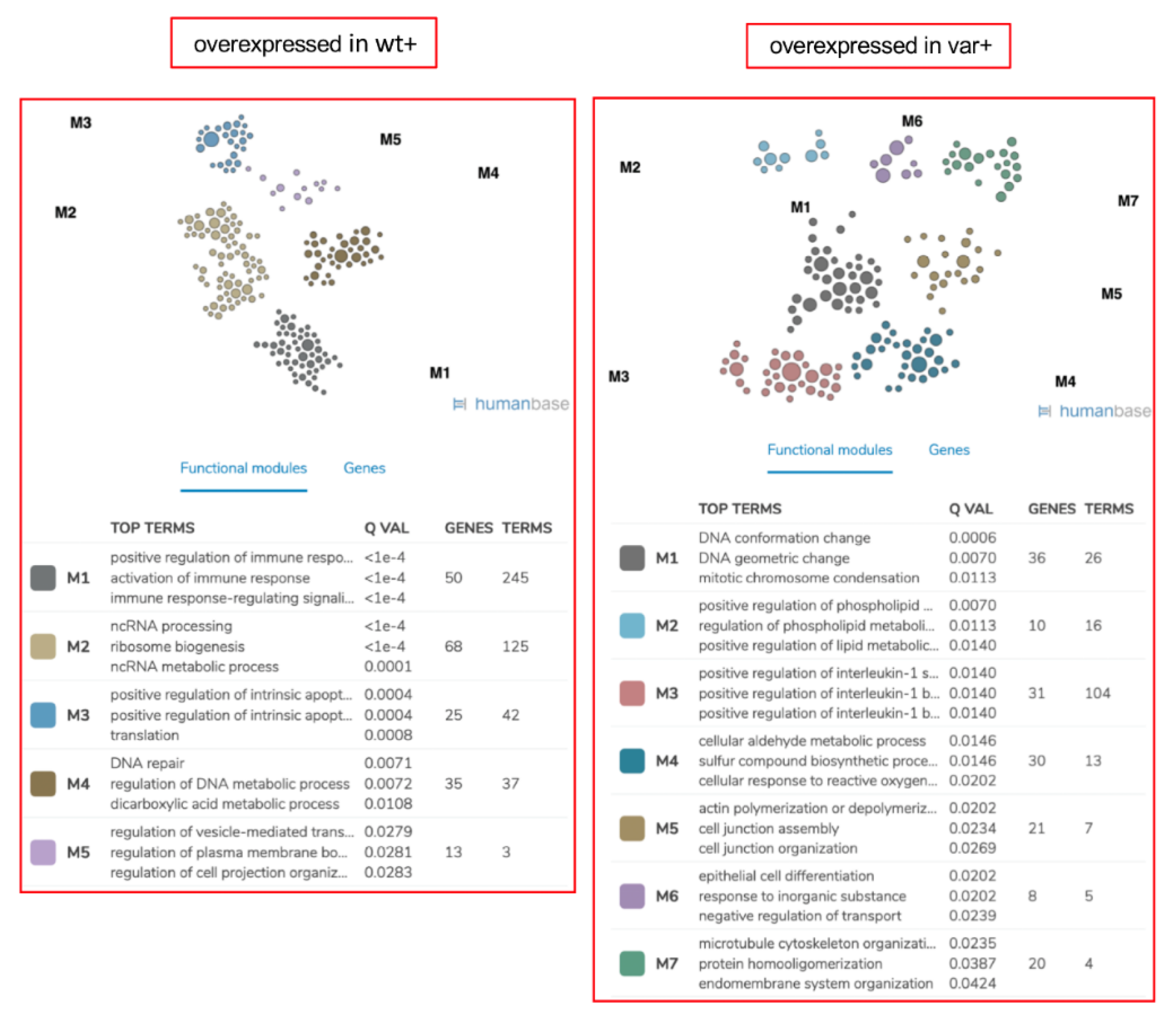Ijms 22 03831 g005 Ijms 22 03831 g005
