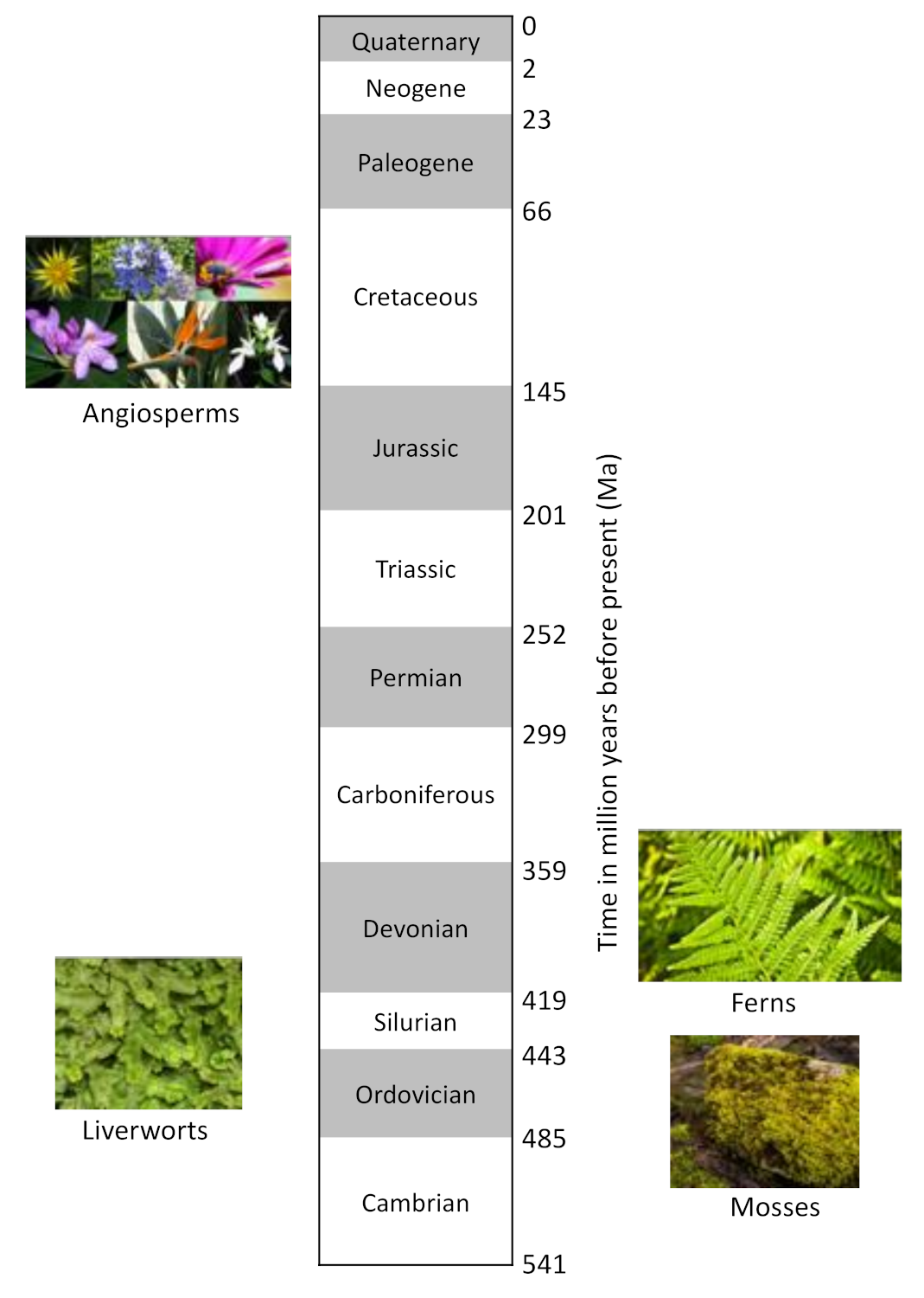 Ijms 22 03833 sch001