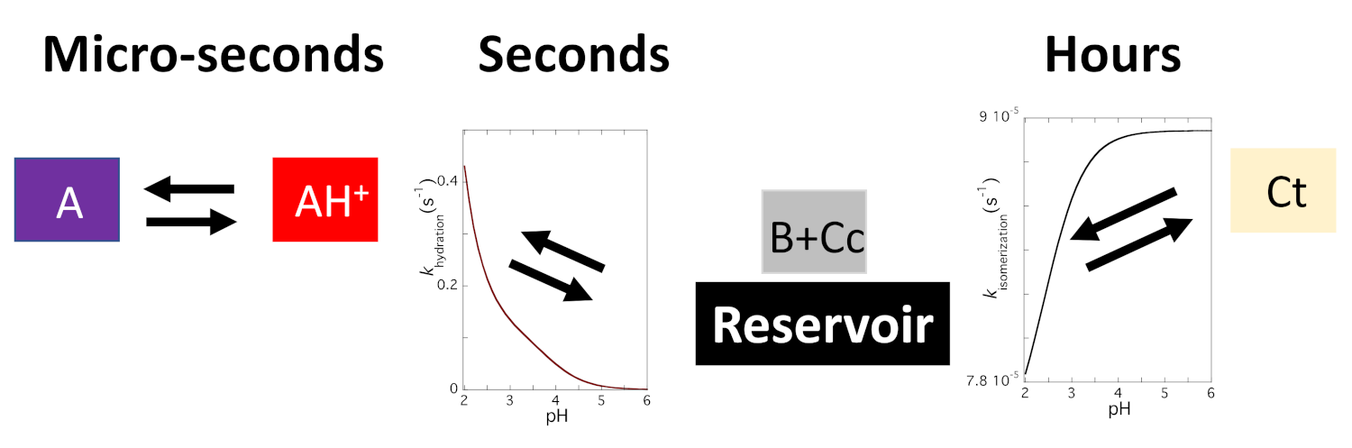 Ijms 22 03833 sch007
