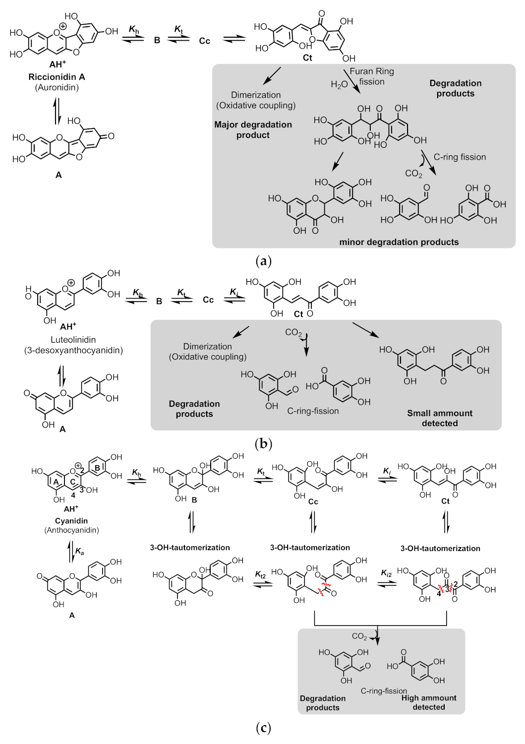 Ijms 22 03833 sch011