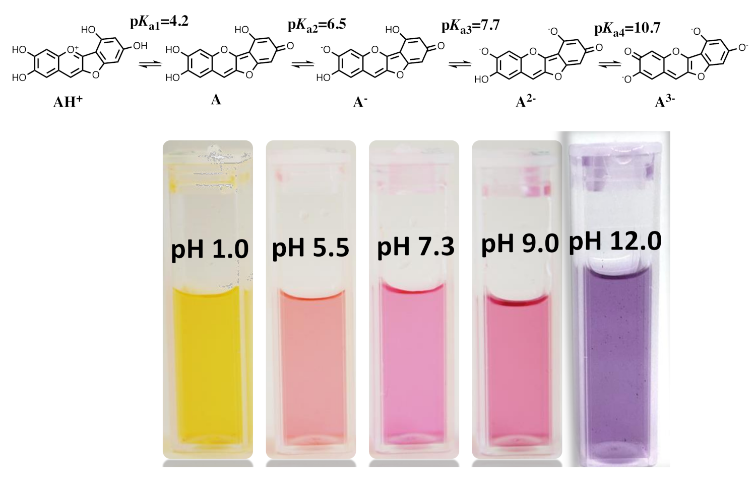 Ijms 22 03833 sch012