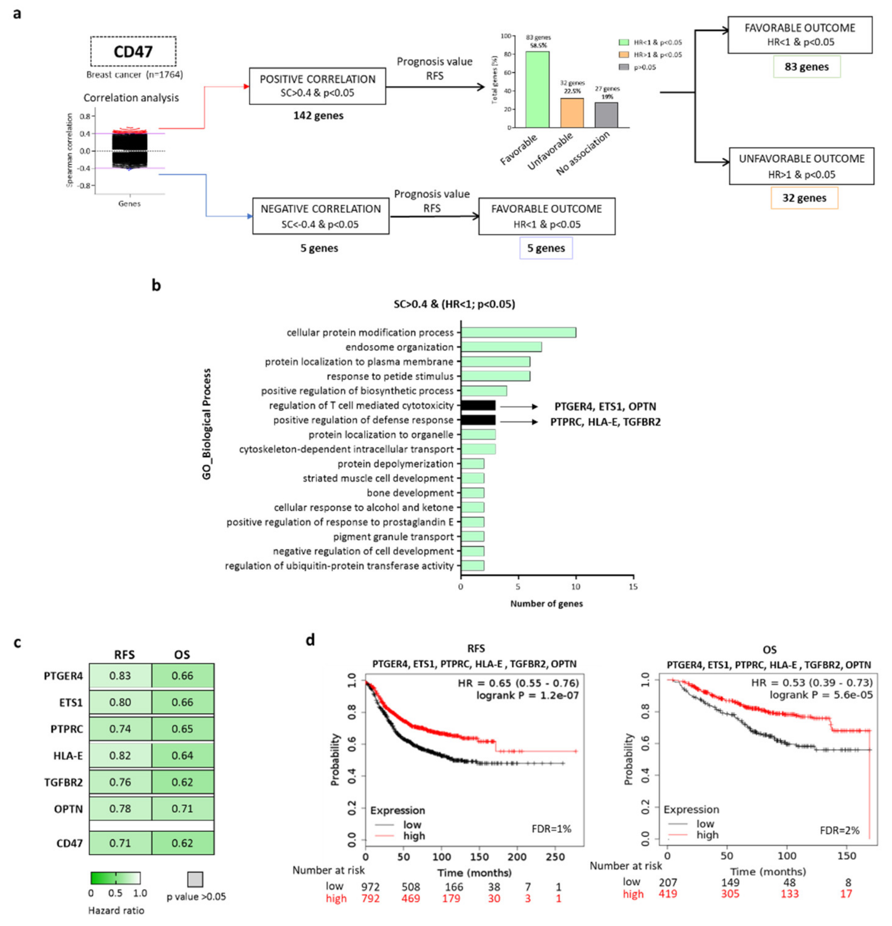 Ijms 22 03836 g001 Ijms 22 03836 g001