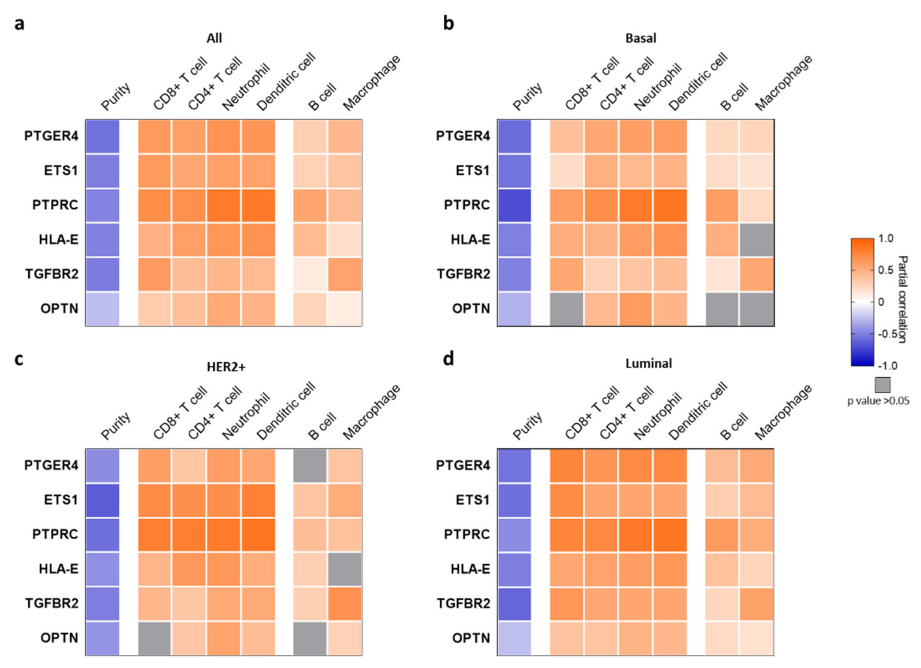 Ijms 22 03836 g003 Ijms 22 03836 g003