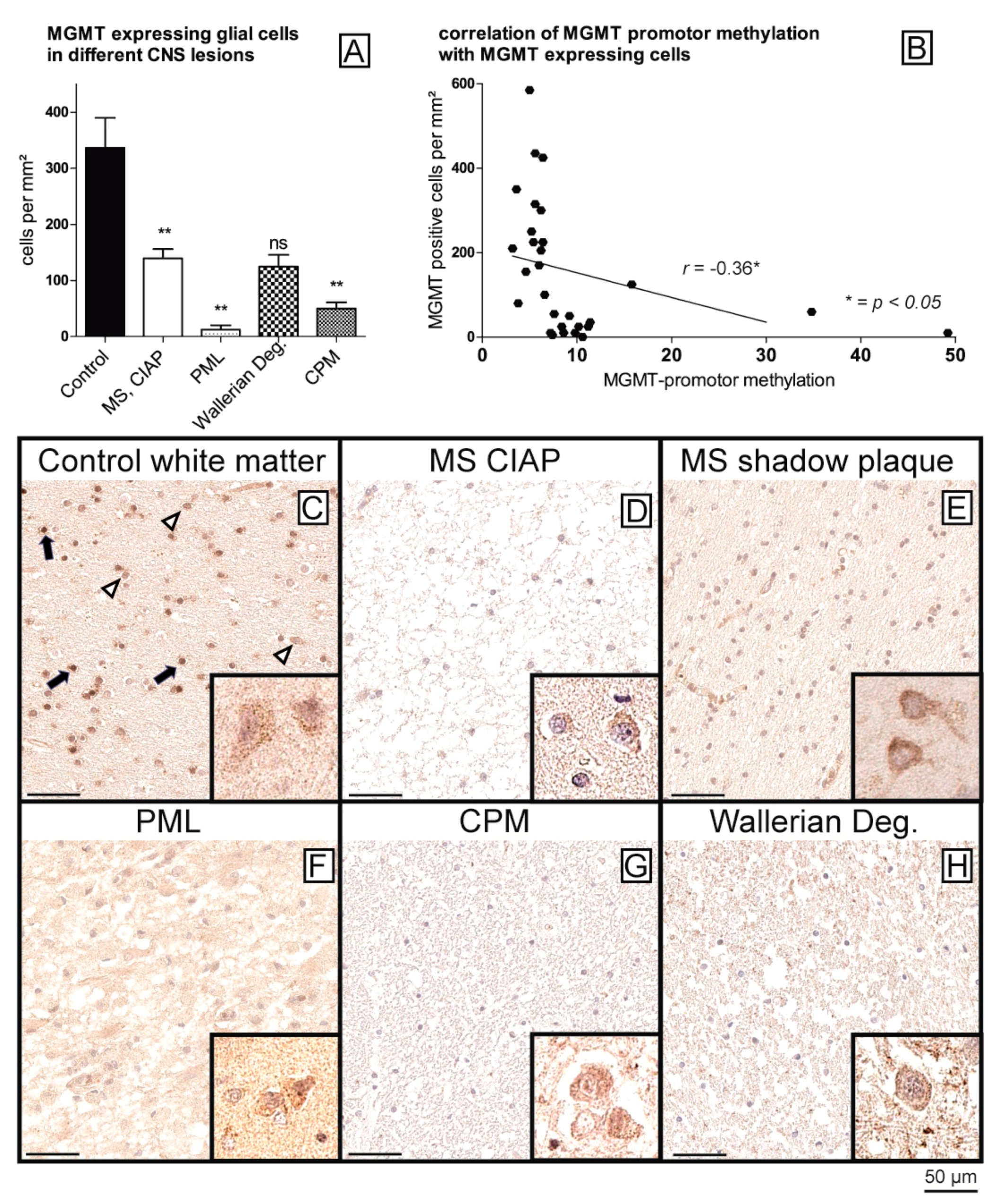 Ijms 22 03845 g002 Ijms 22 03845 g002