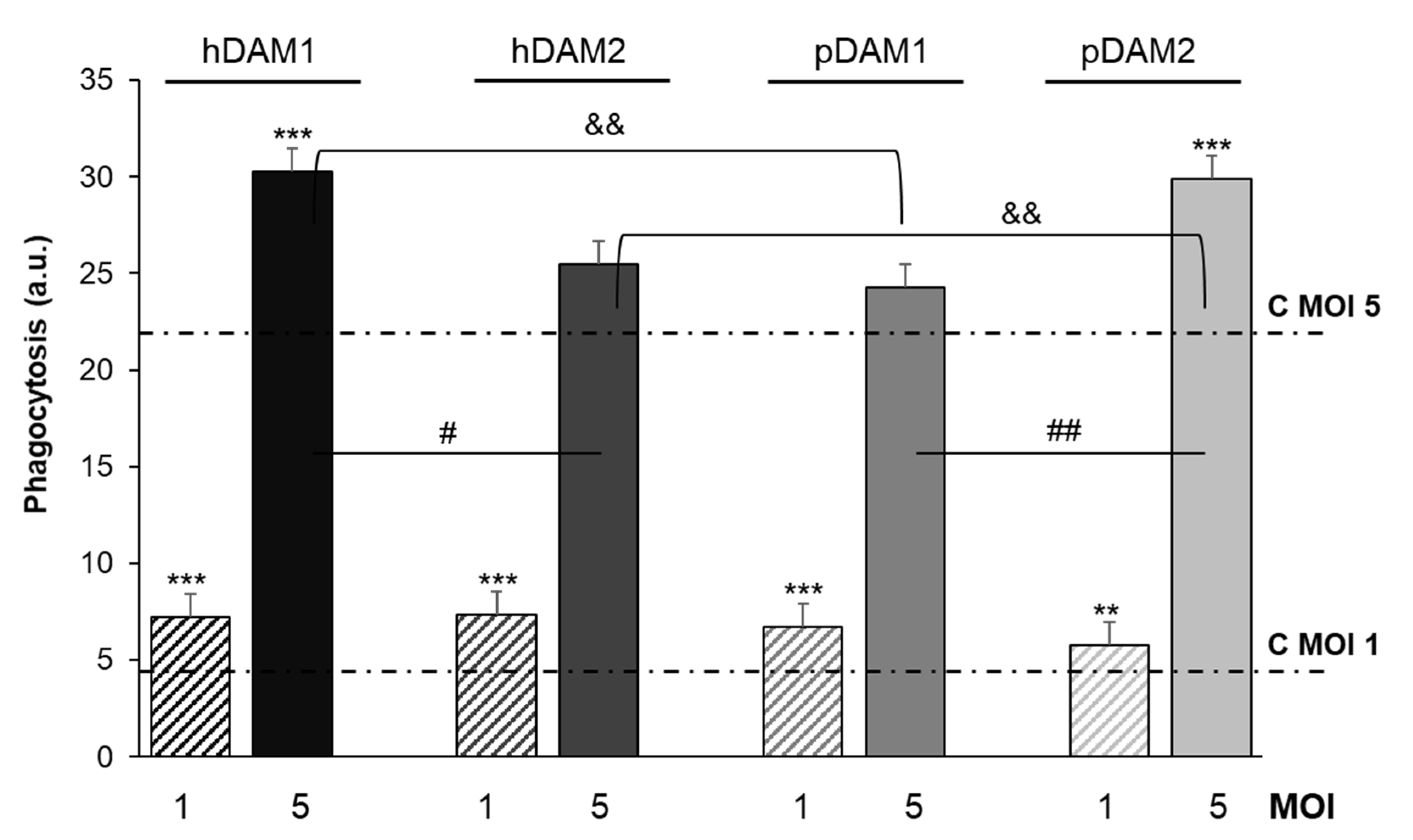 Ijms 22 03847 g006 Ijms 22 03847 g006