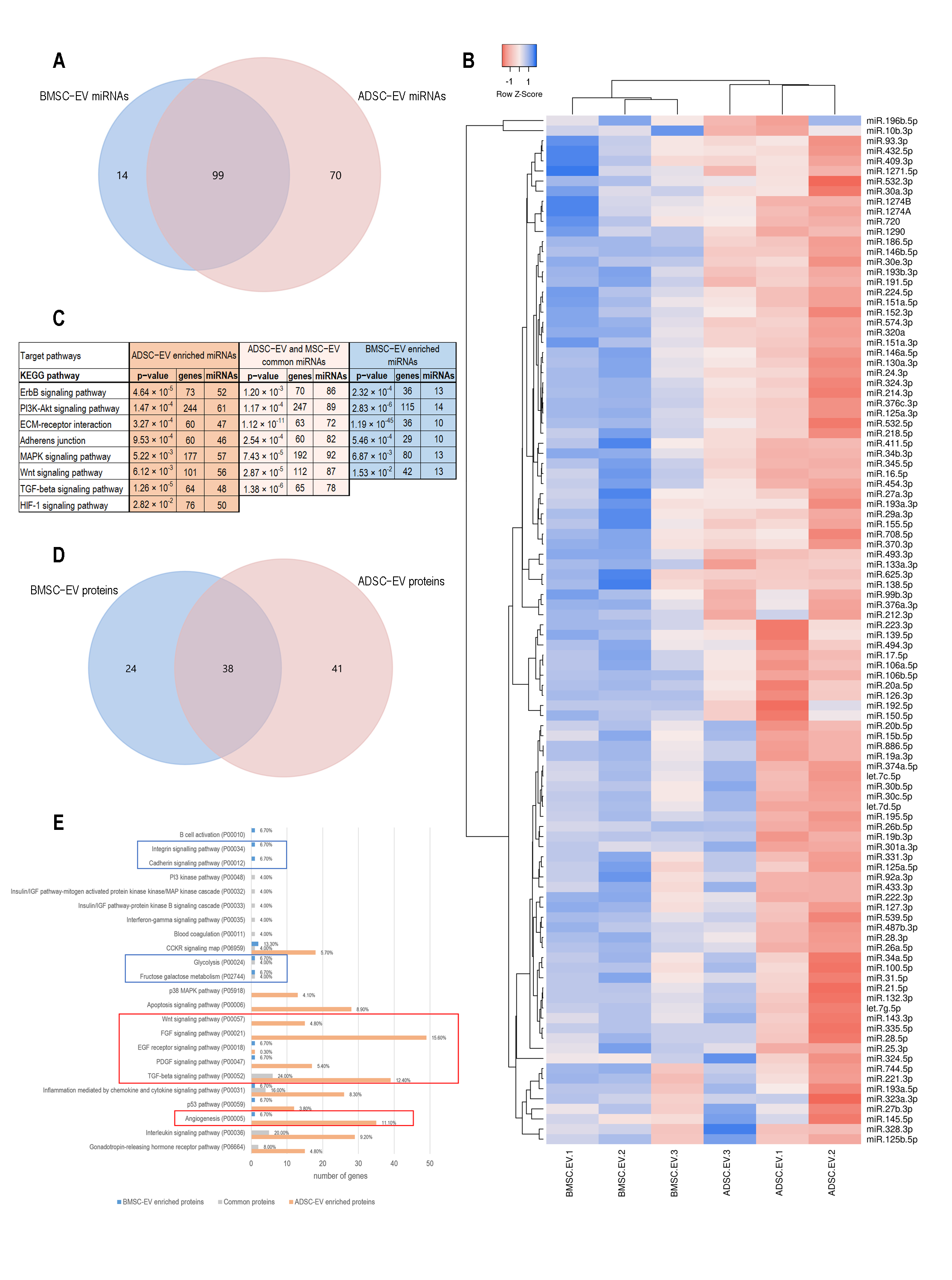 Ijms 22 03851 g003 Ijms 22 03851 g003