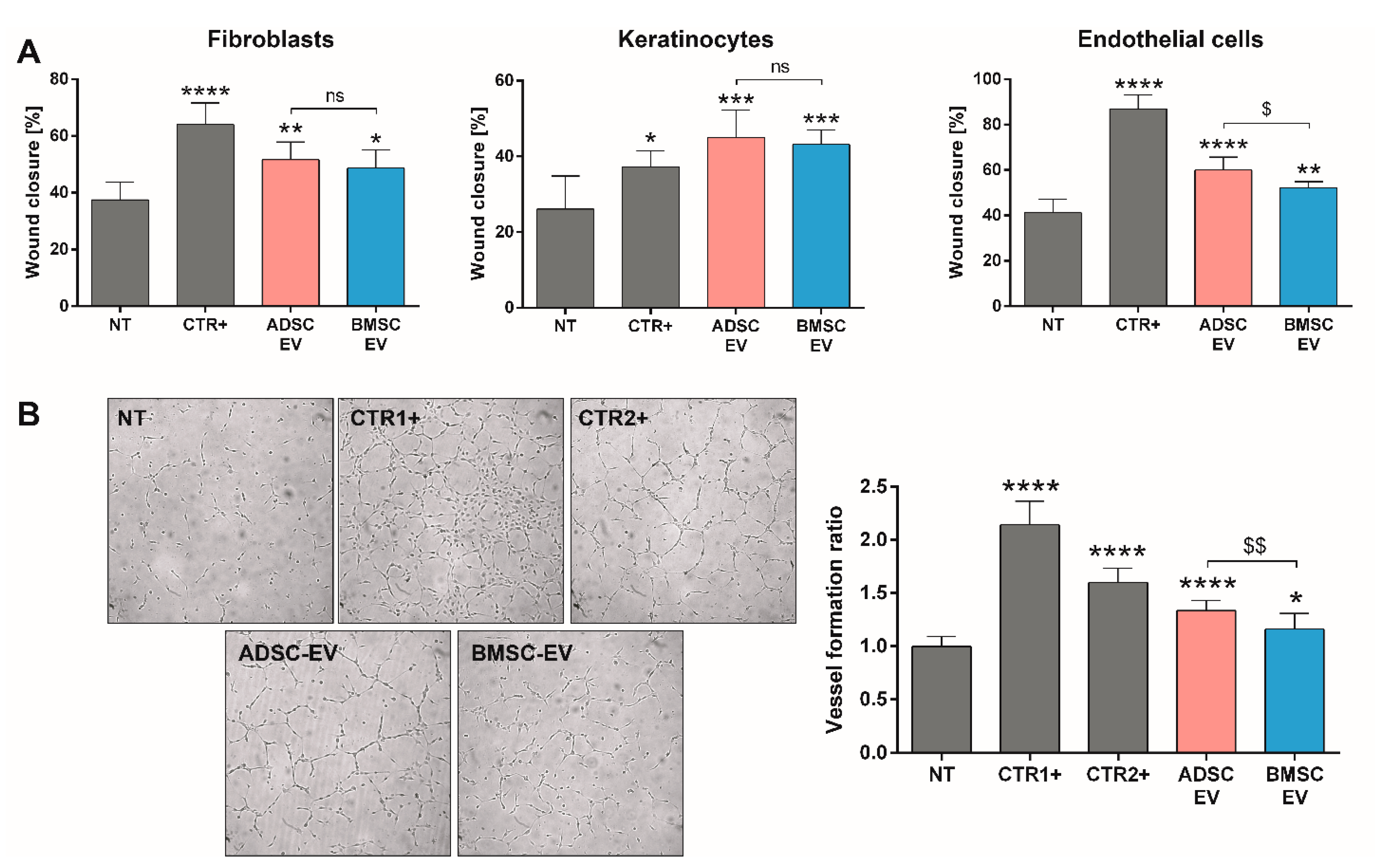 Ijms 22 03851 g005 Ijms 22 03851 g005