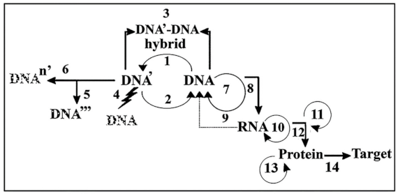 Ijms 22 03857 g005