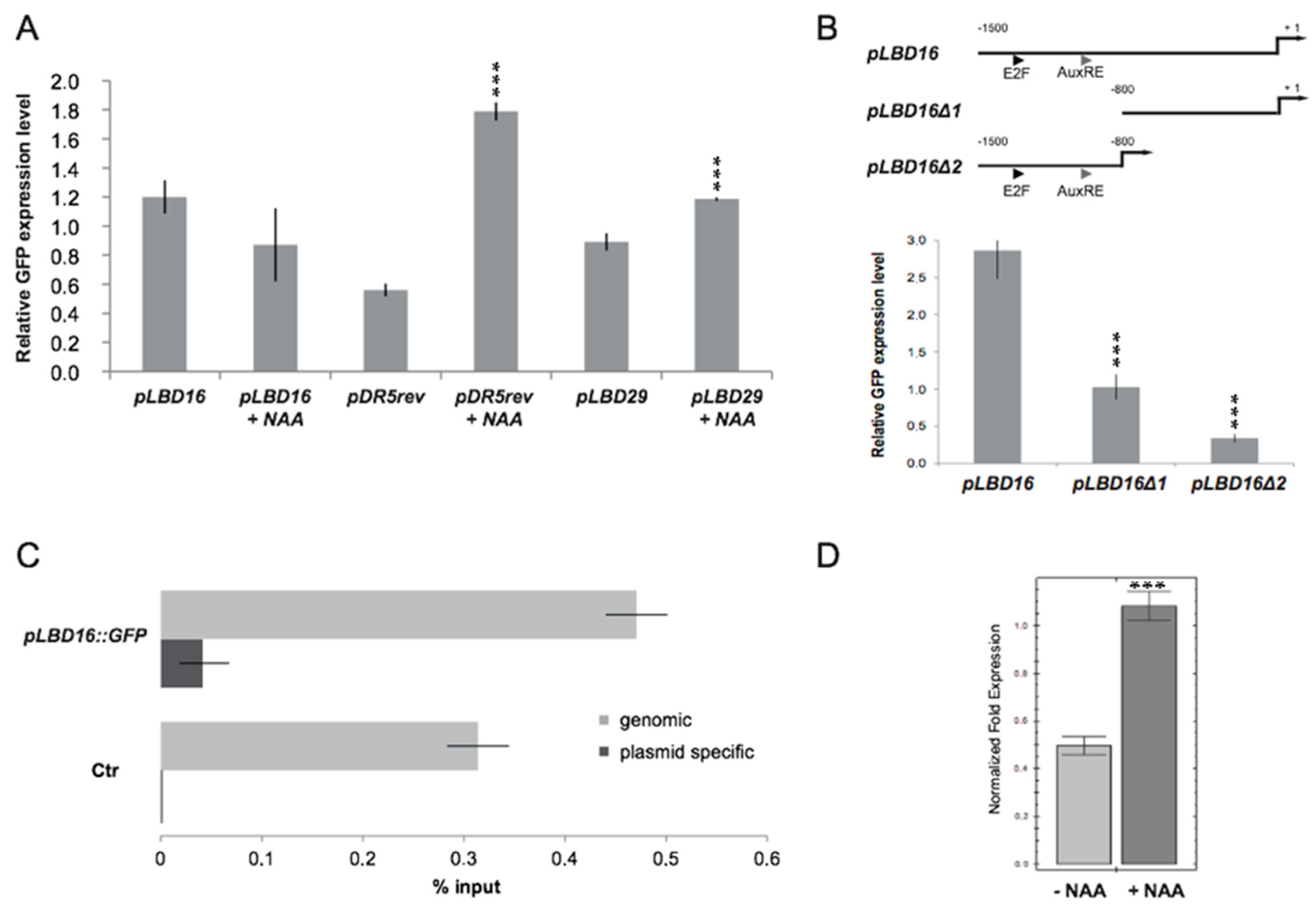 Ijms 22 03862 g006 Ijms 22 03862 g006
