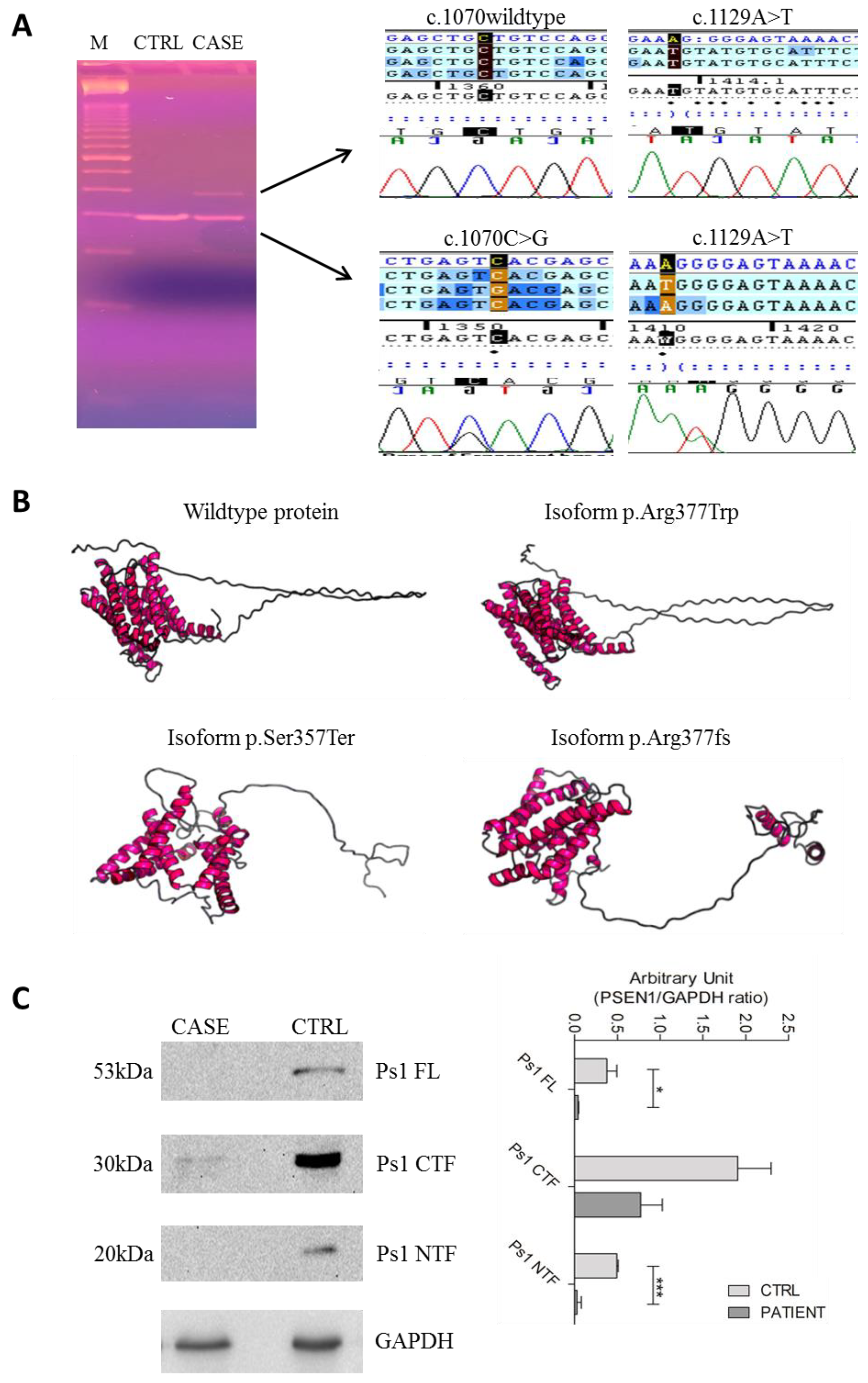 Ijms 22 03870 g002 Ijms 22 03870 g002