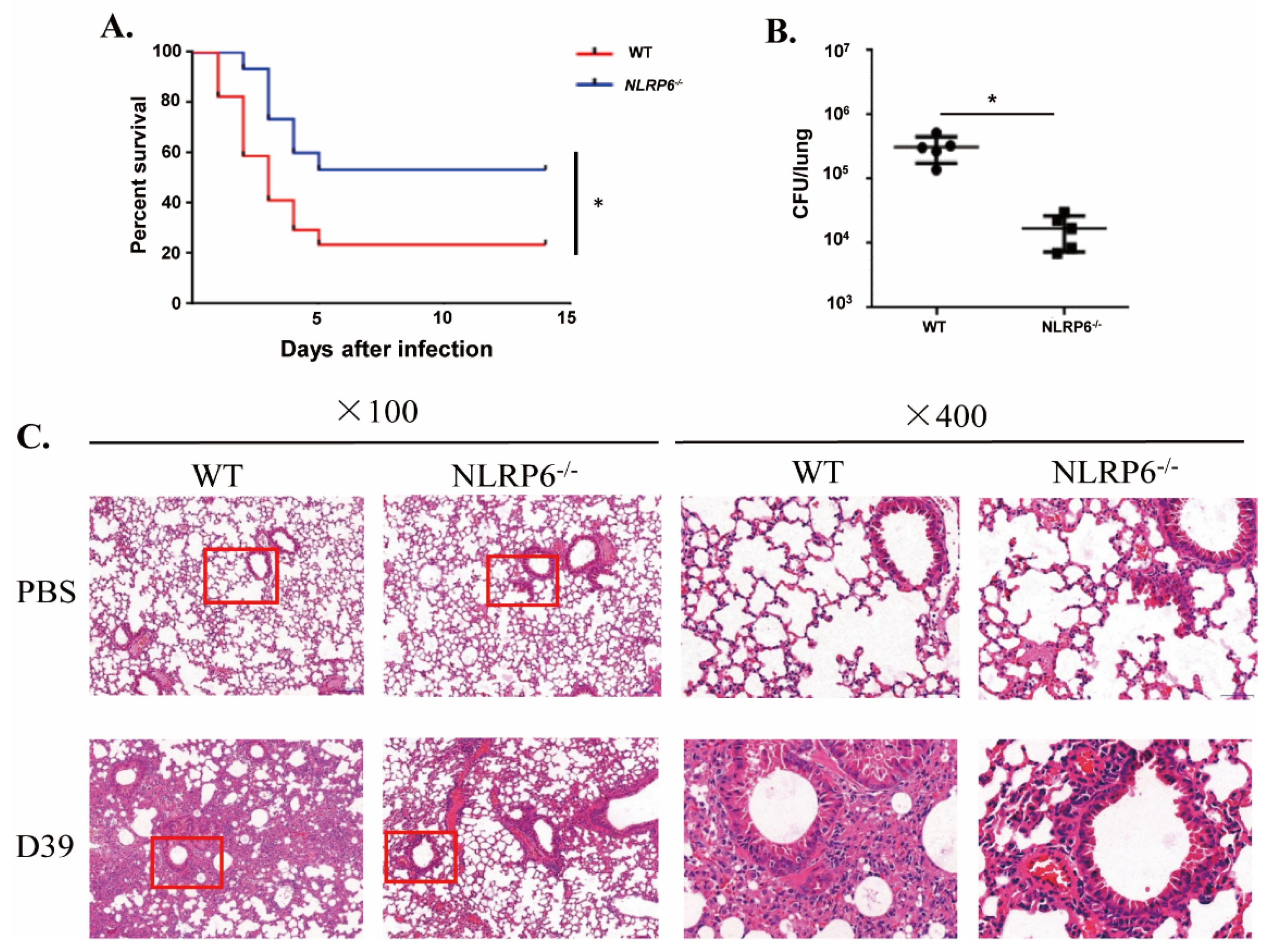 Ijms 22 03876 g005 Ijms 22 03876 g005