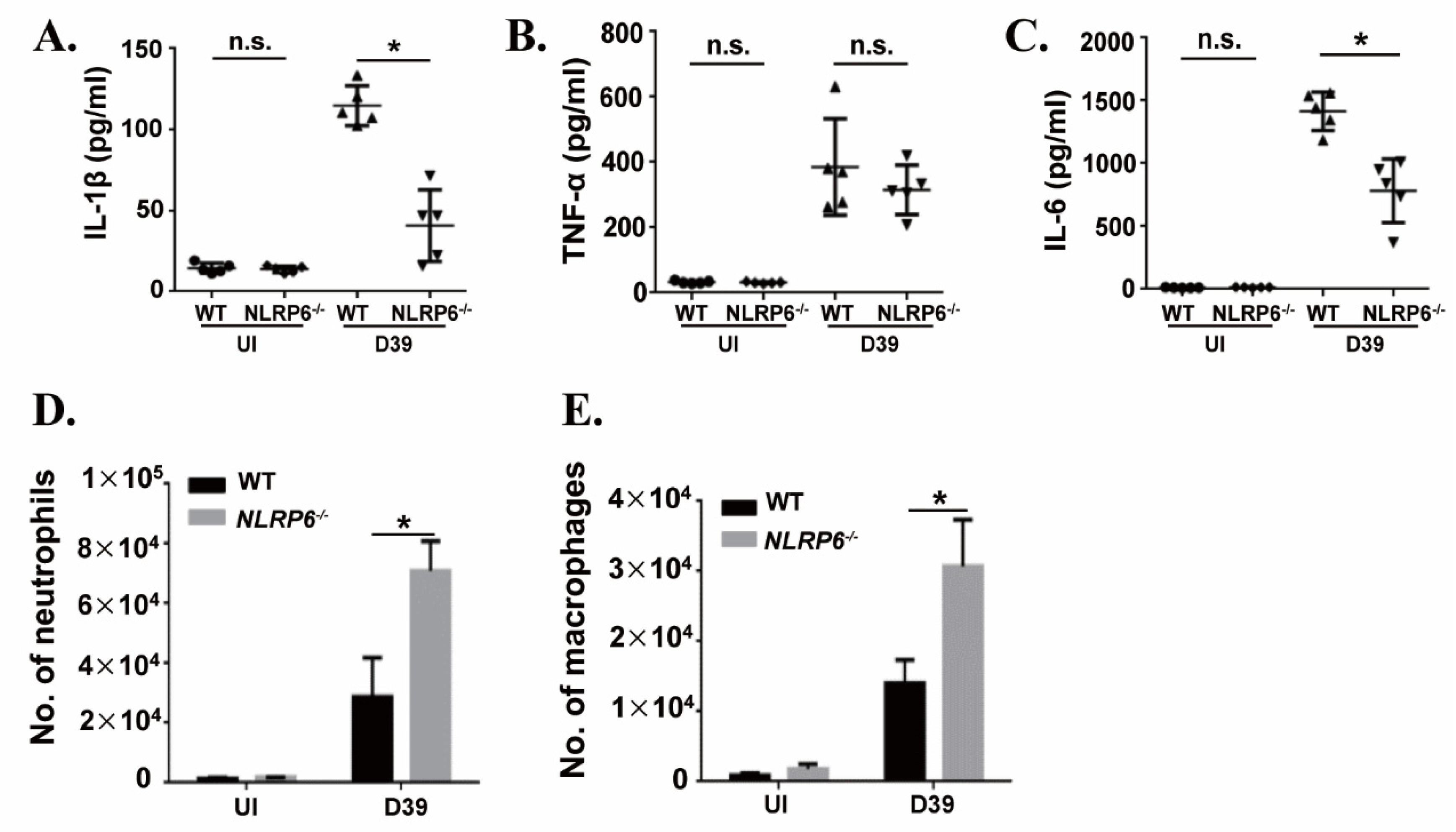 Ijms 22 03876 g006 Ijms 22 03876 g006