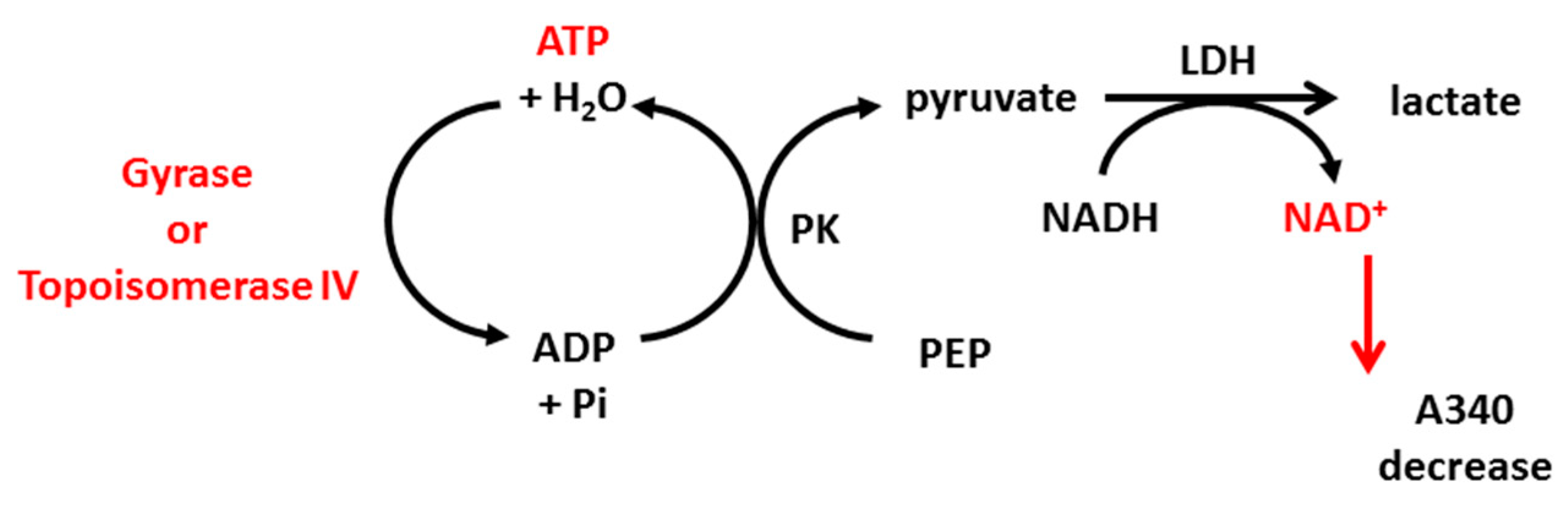 Ijms 22 03881 sch001