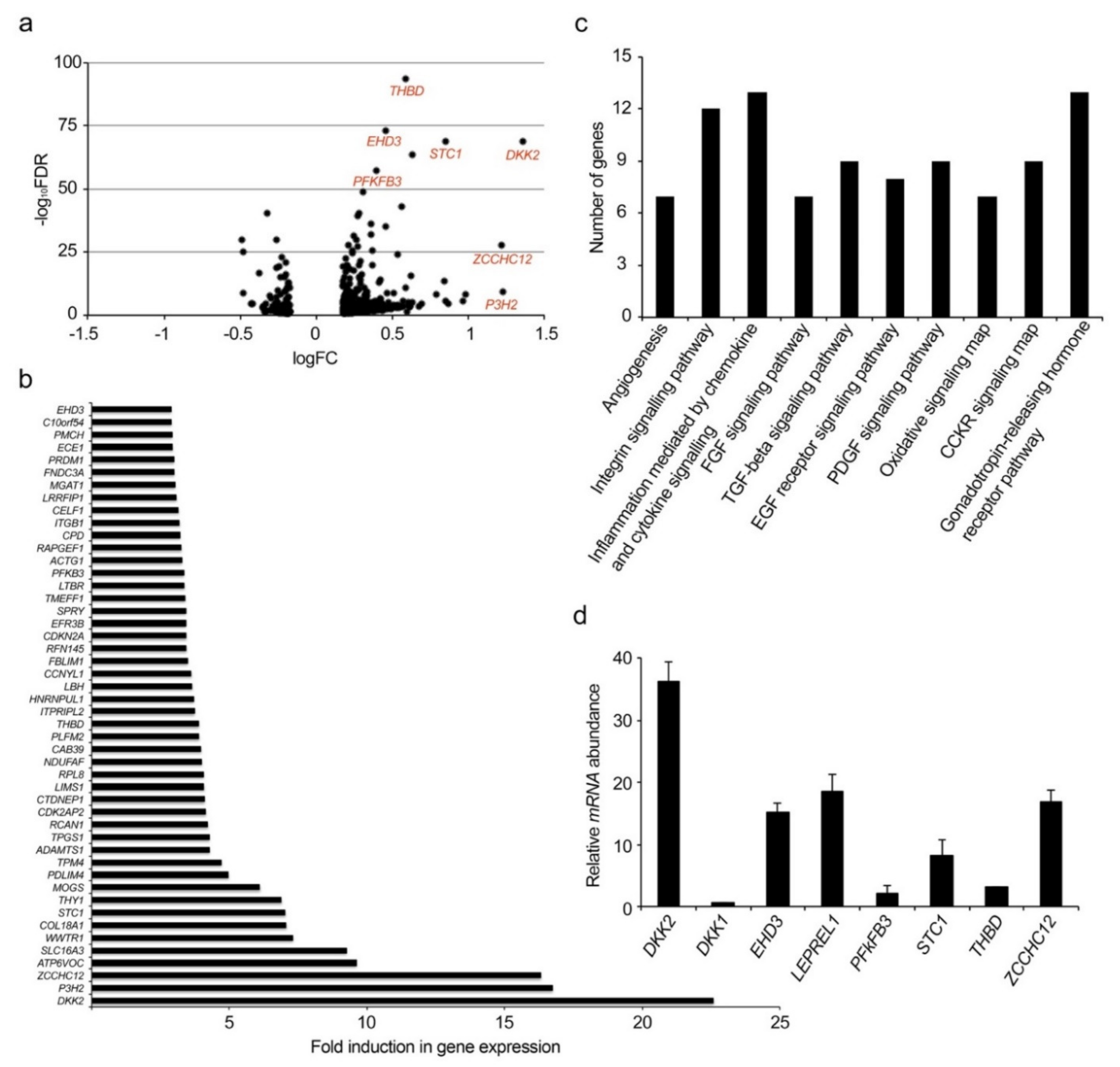 Ijms 22 03896 g001 Ijms 22 03896 g001