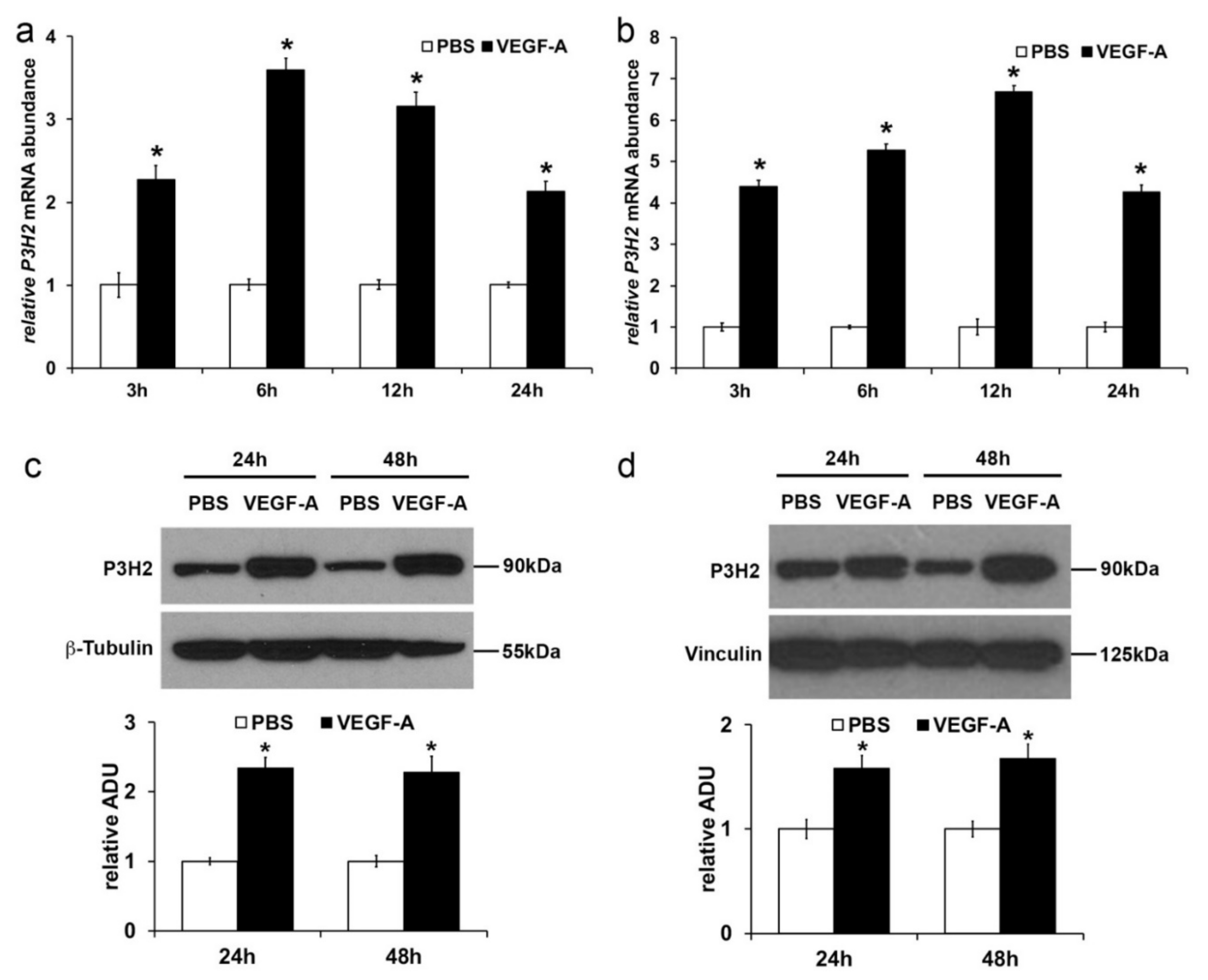 Ijms 22 03896 g002 Ijms 22 03896 g002