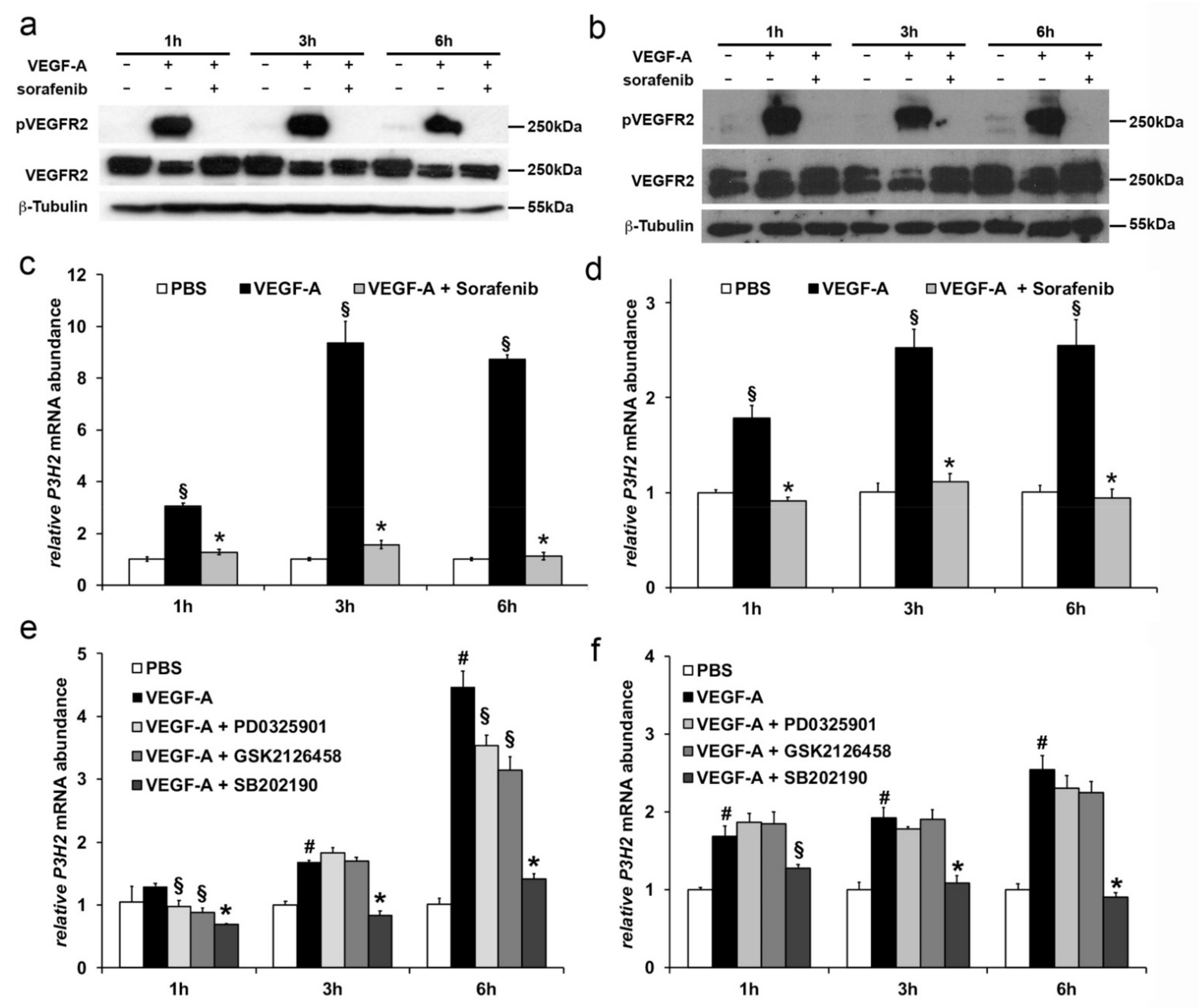 Ijms 22 03896 g003 Ijms 22 03896 g003