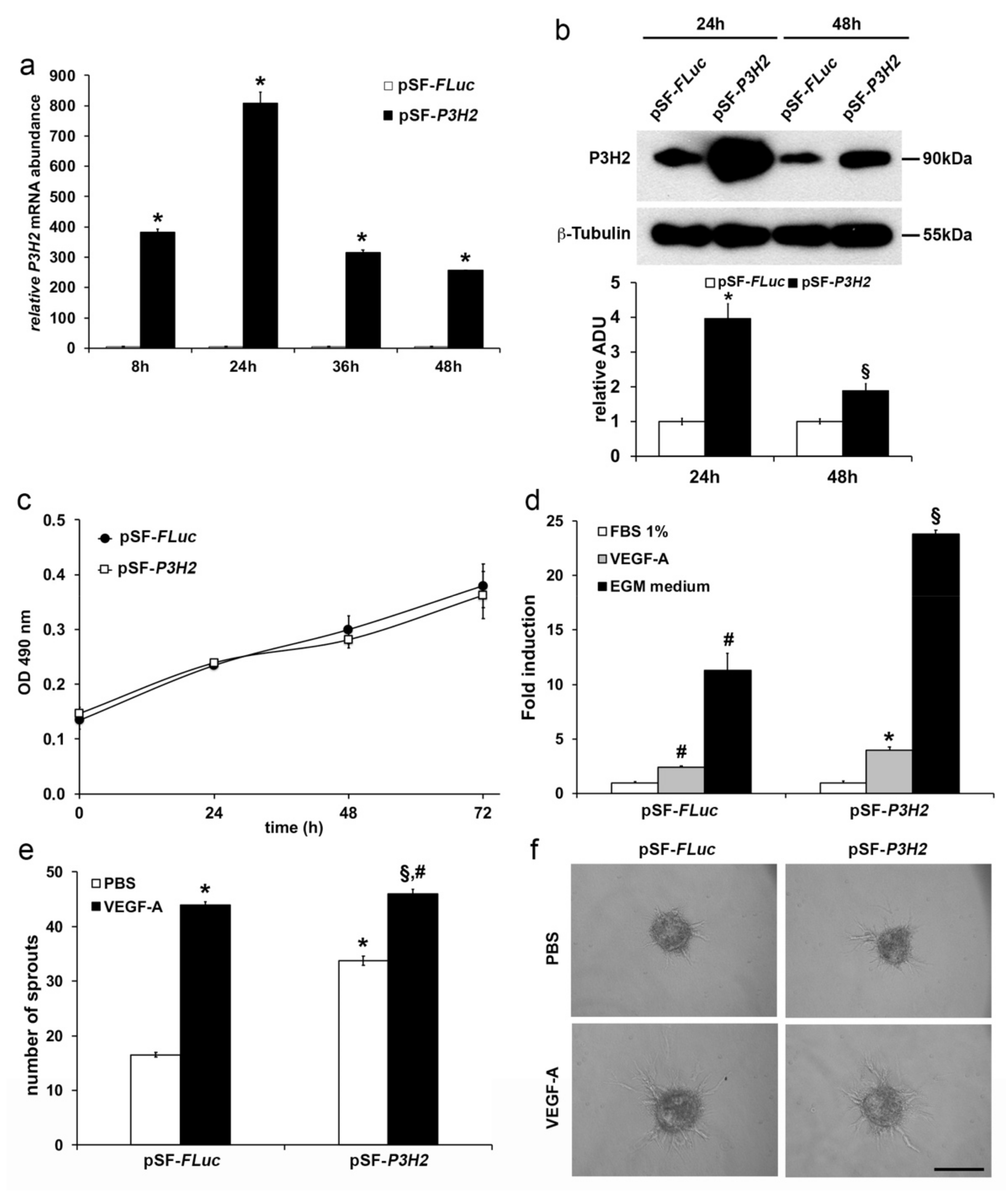Ijms 22 03896 g004 Ijms 22 03896 g004