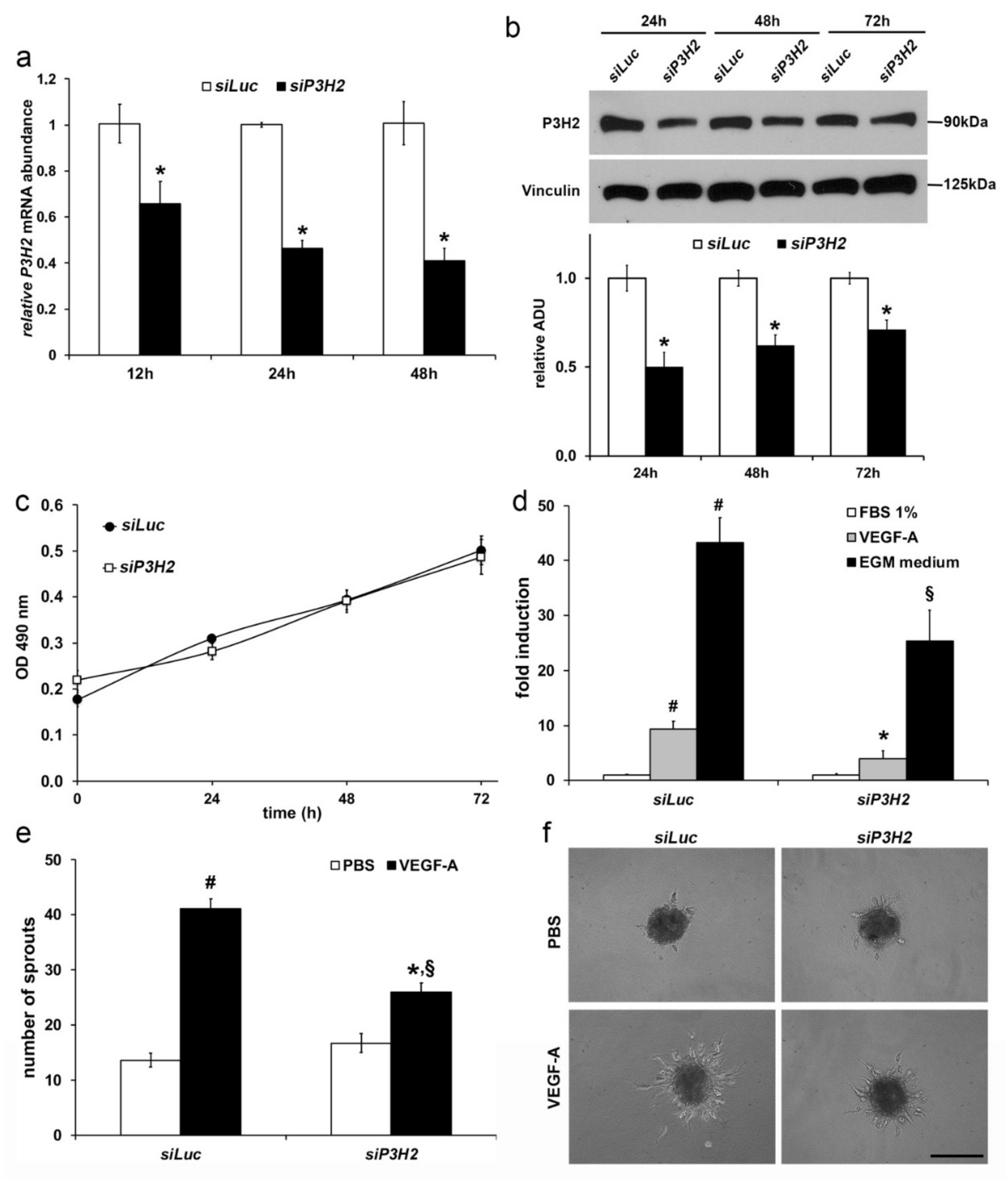 Ijms 22 03896 g005 Ijms 22 03896 g005