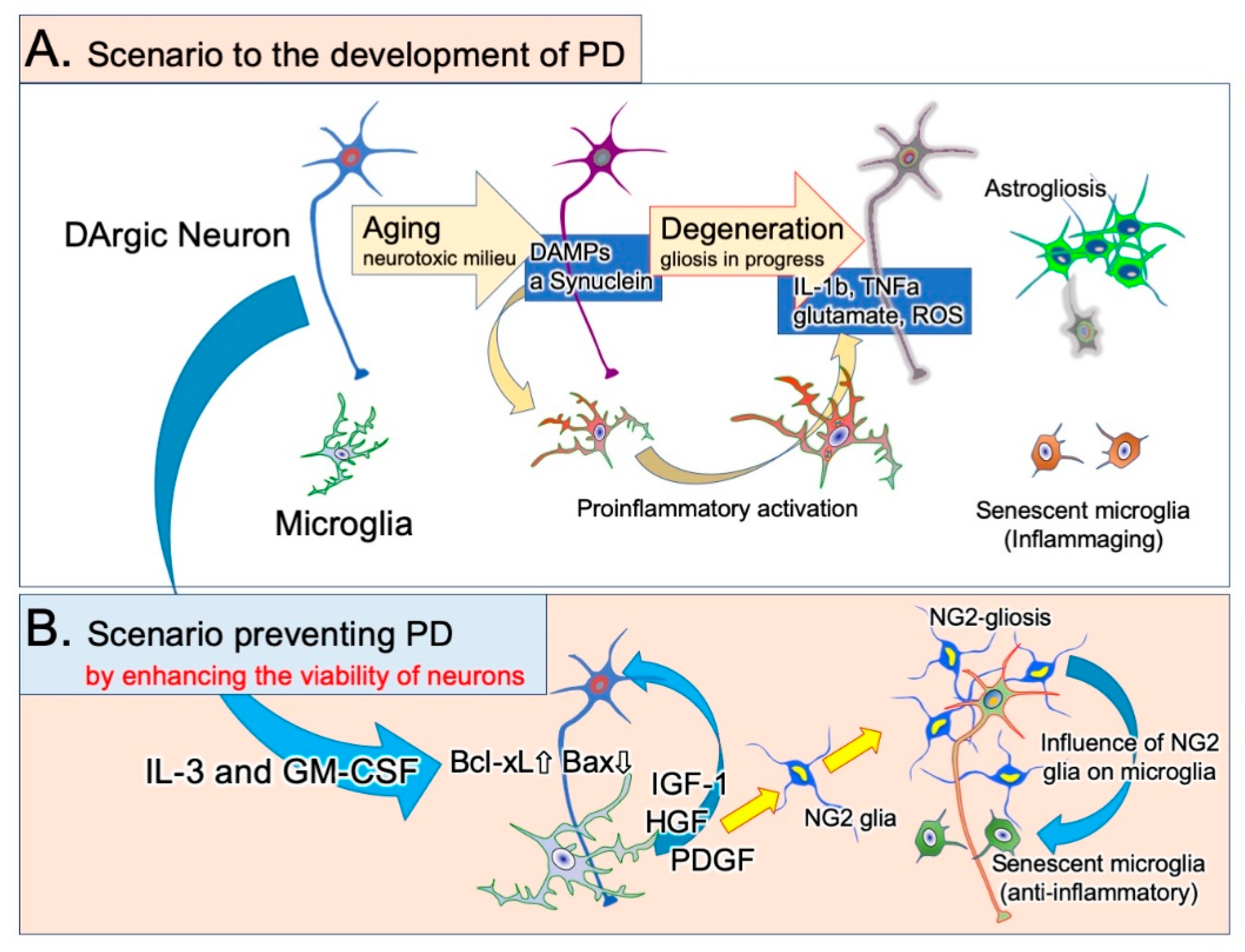 Ijms 22 03907 g003 Ijms 22 03907 g003