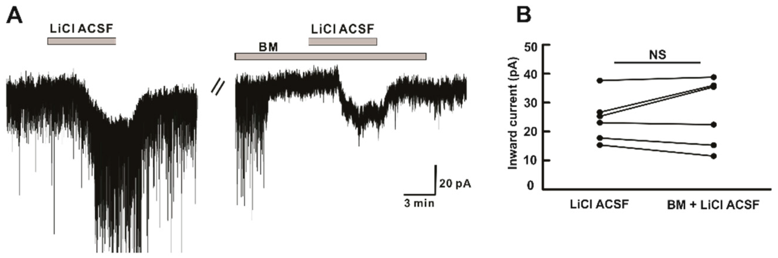 Ijms 22 03908 g006 Ijms 22 03908 g006
