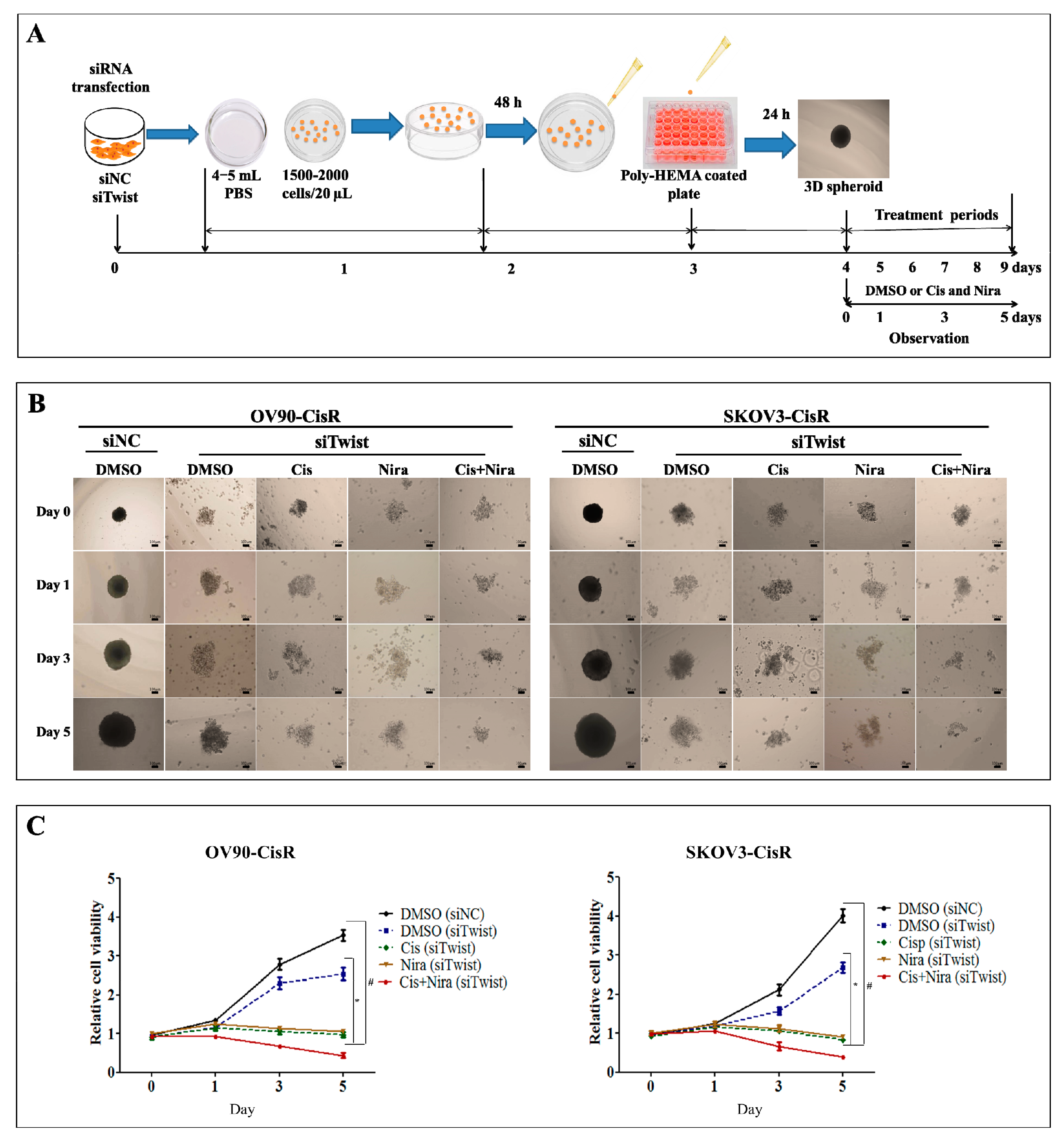 Ijms 22 03916 g006 Ijms 22 03916 g006
